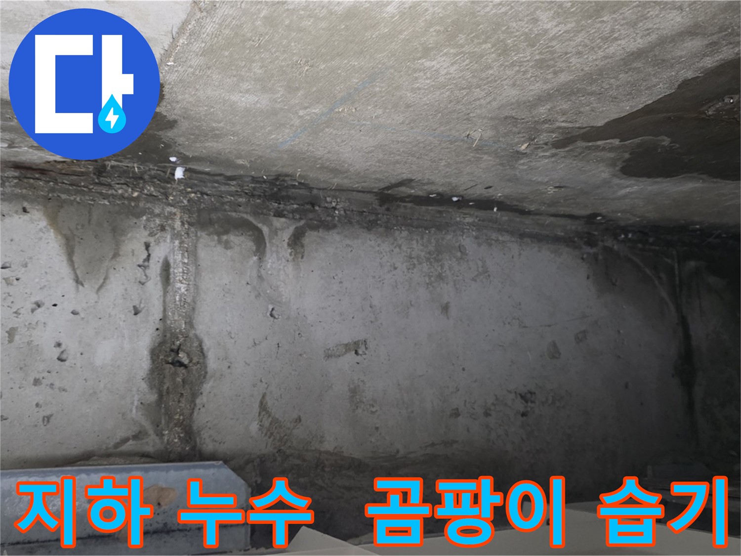 남양주 건물 지하 누수 - 곰팡이와 습기