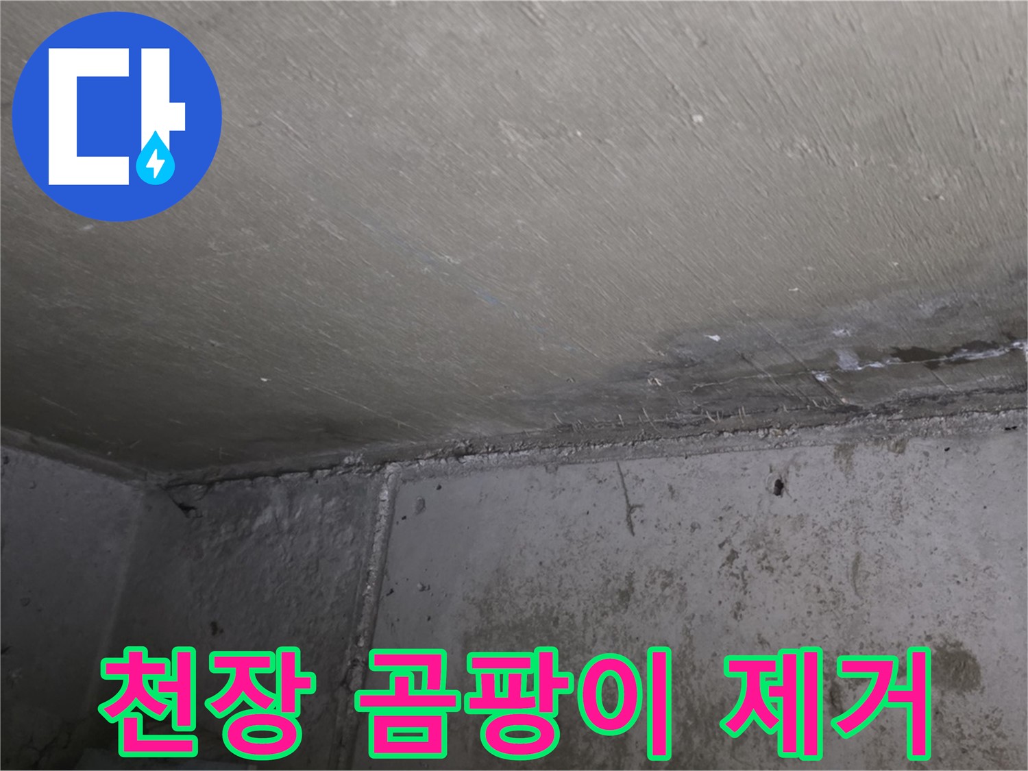 남양주 오남 두산아파트 천장 곰팡이 제거 - 쾌적한 공간