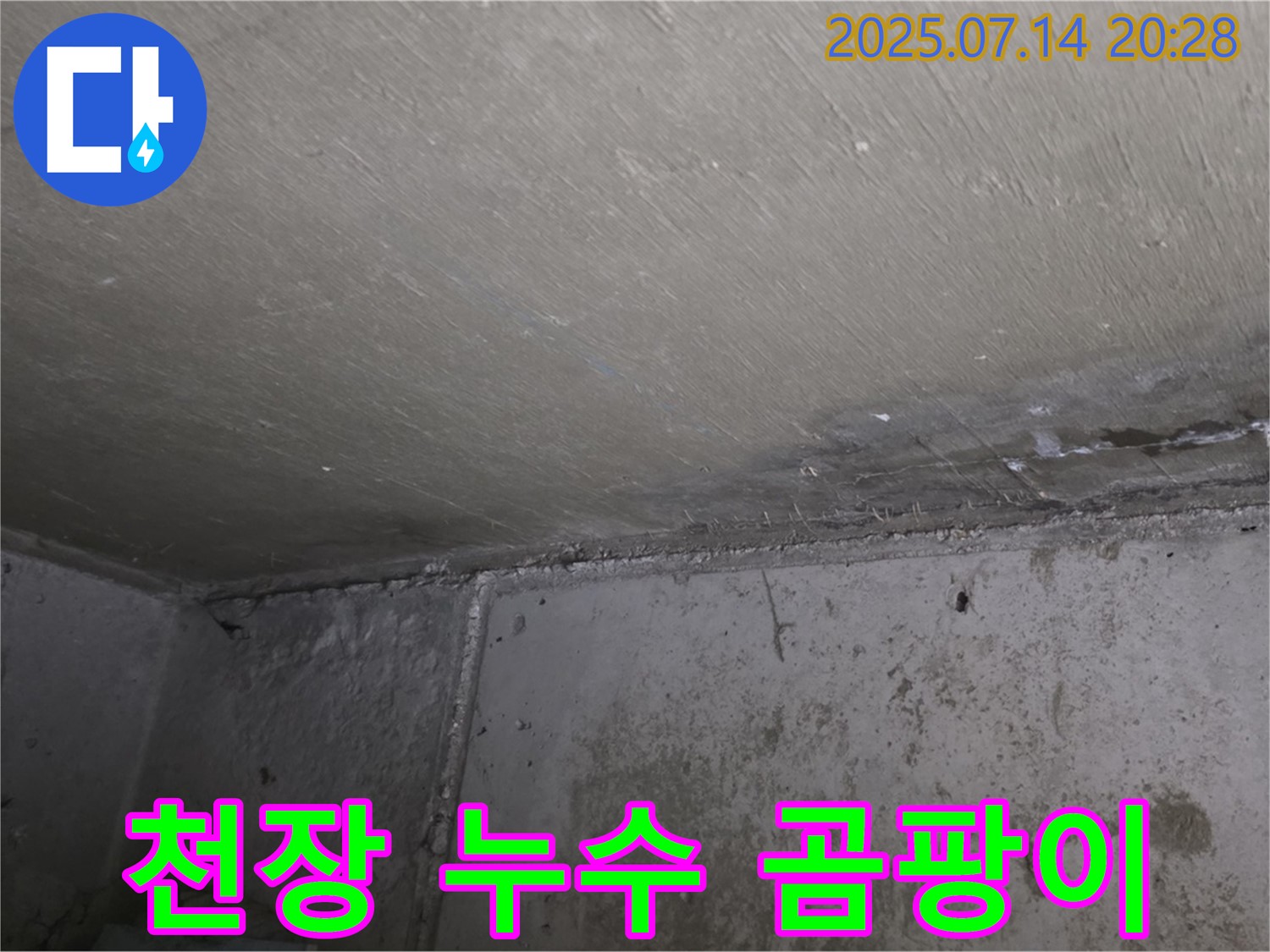 남양주 오남리 두산아파트 천장 누수 - 곰팡이 제거 및 누수 탐지 전문 업체의 해결 과정