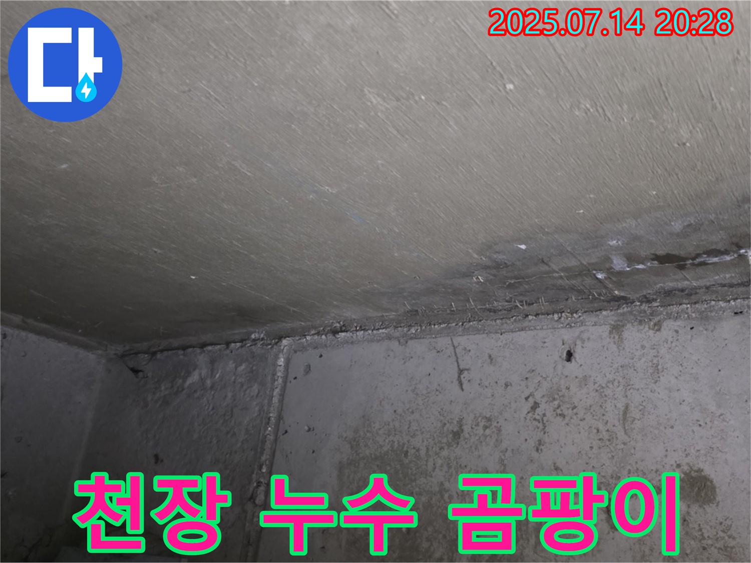 남양주 오남리 두산아파트 천장 누수 - 곰팡이 제거 및 누수 탐지 전문 업체의 해결 과정
