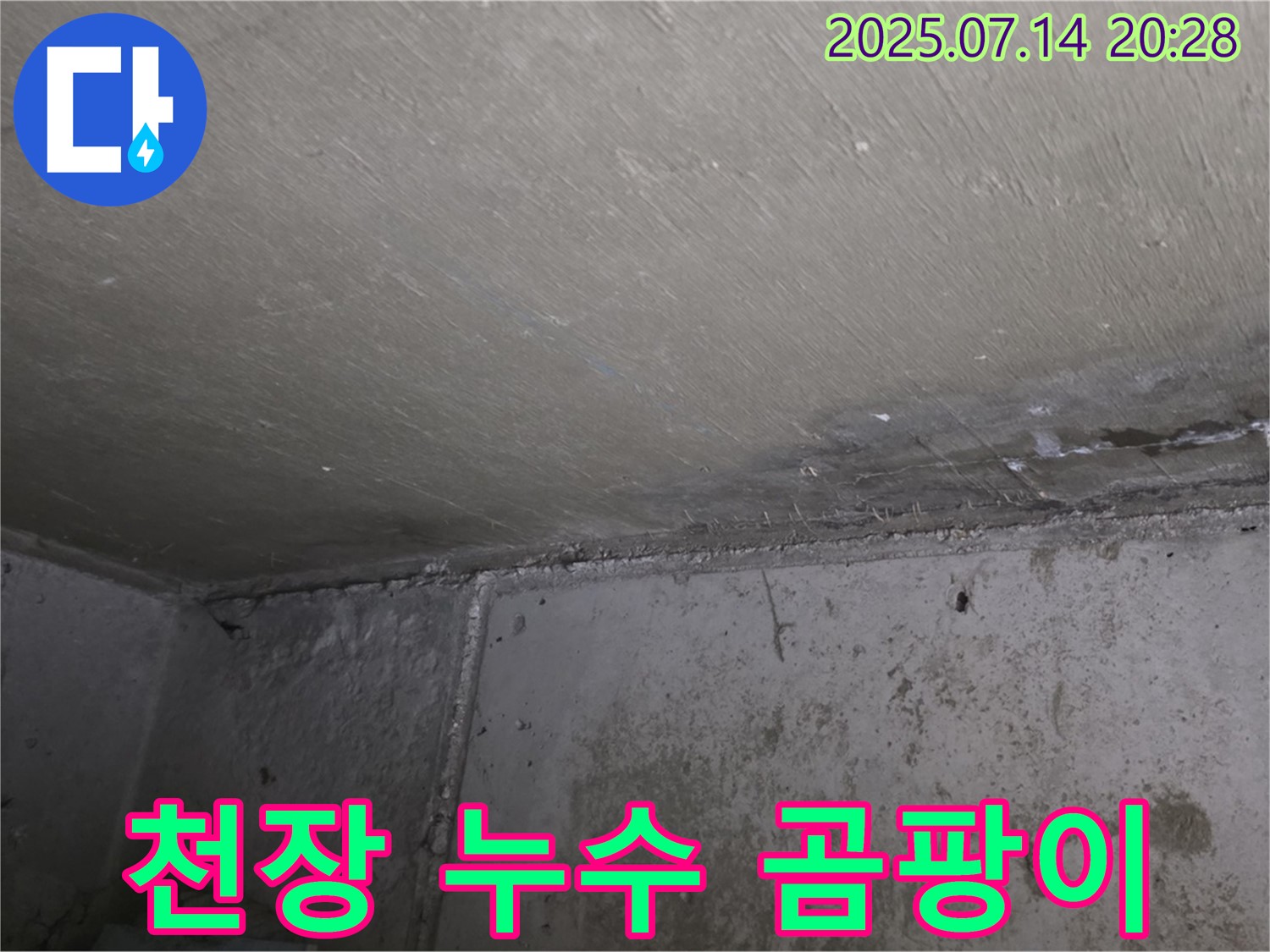 남양주 오남리 두산아파트 천장 누수 - 곰팡이 제거 및 누수 탐지 전문 업체의 해결 과정