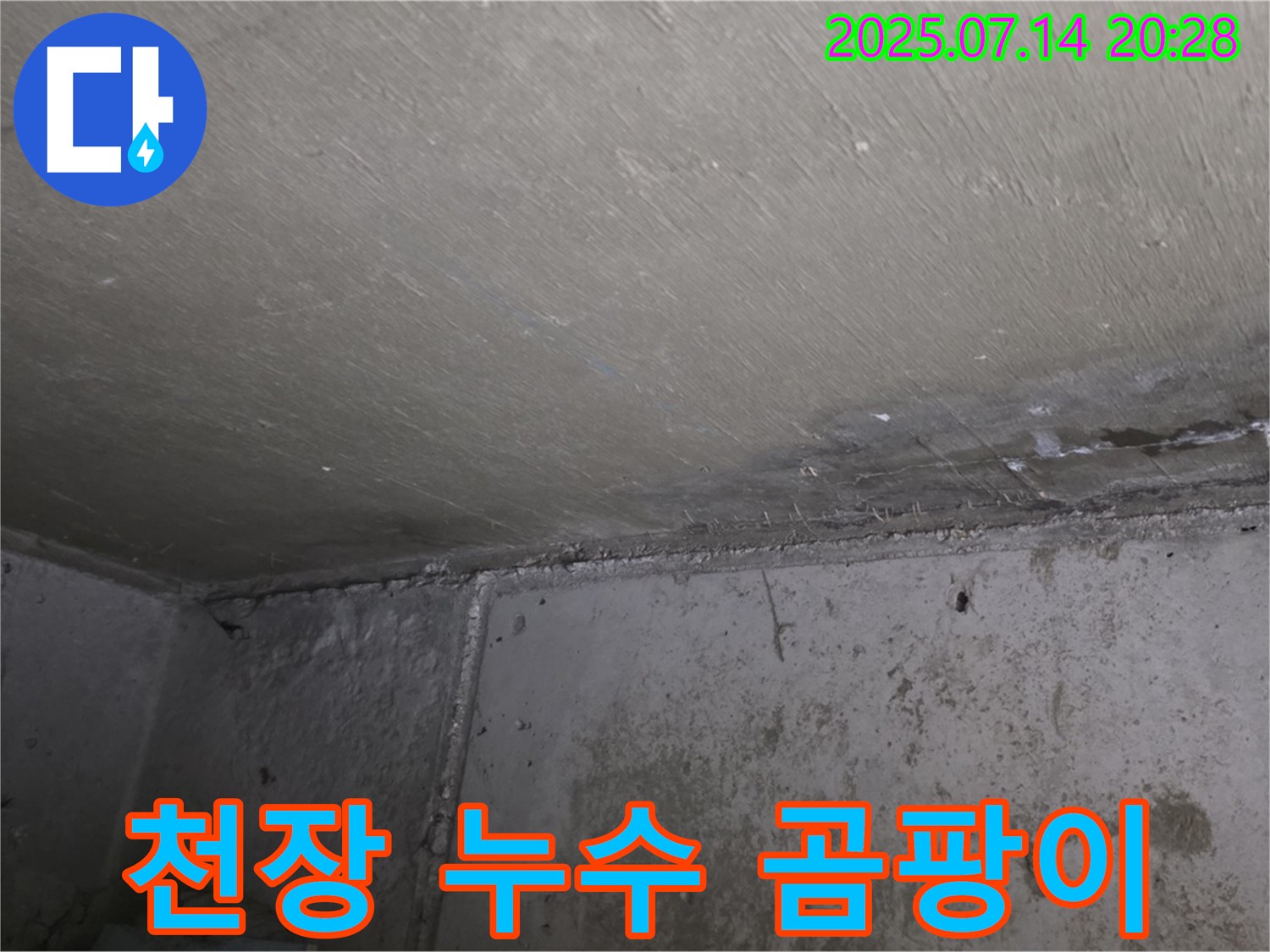 남양주 오남리 두산아파트 천장 누수 - 곰팡이 제거 및 누수 탐지 전문 업체의 해결 과정