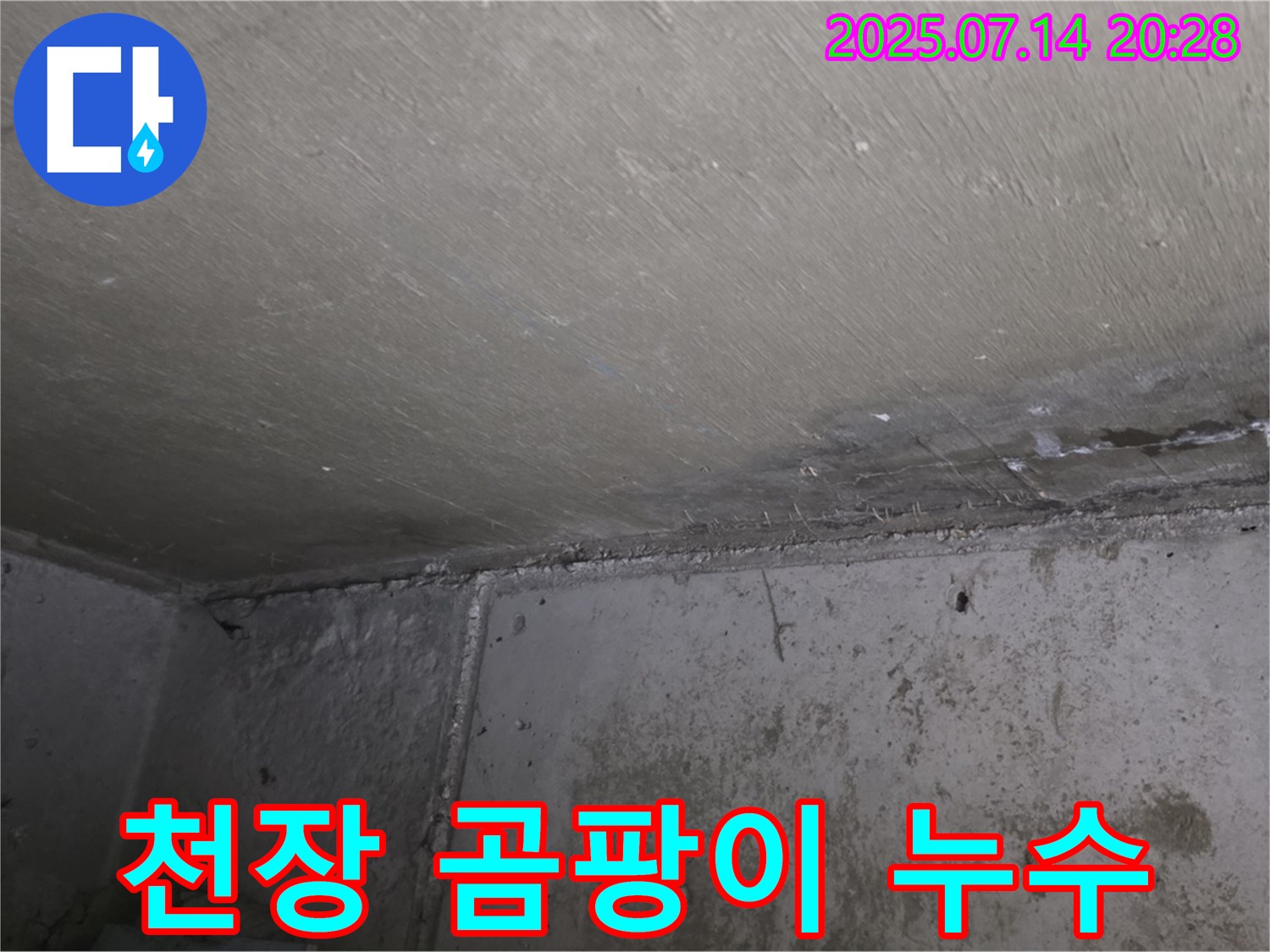 남양주시 오남읍 두산아파트 천장 누수로 인한 곰팡이 문제 - 누수탐지 및 완벽 해결 과정