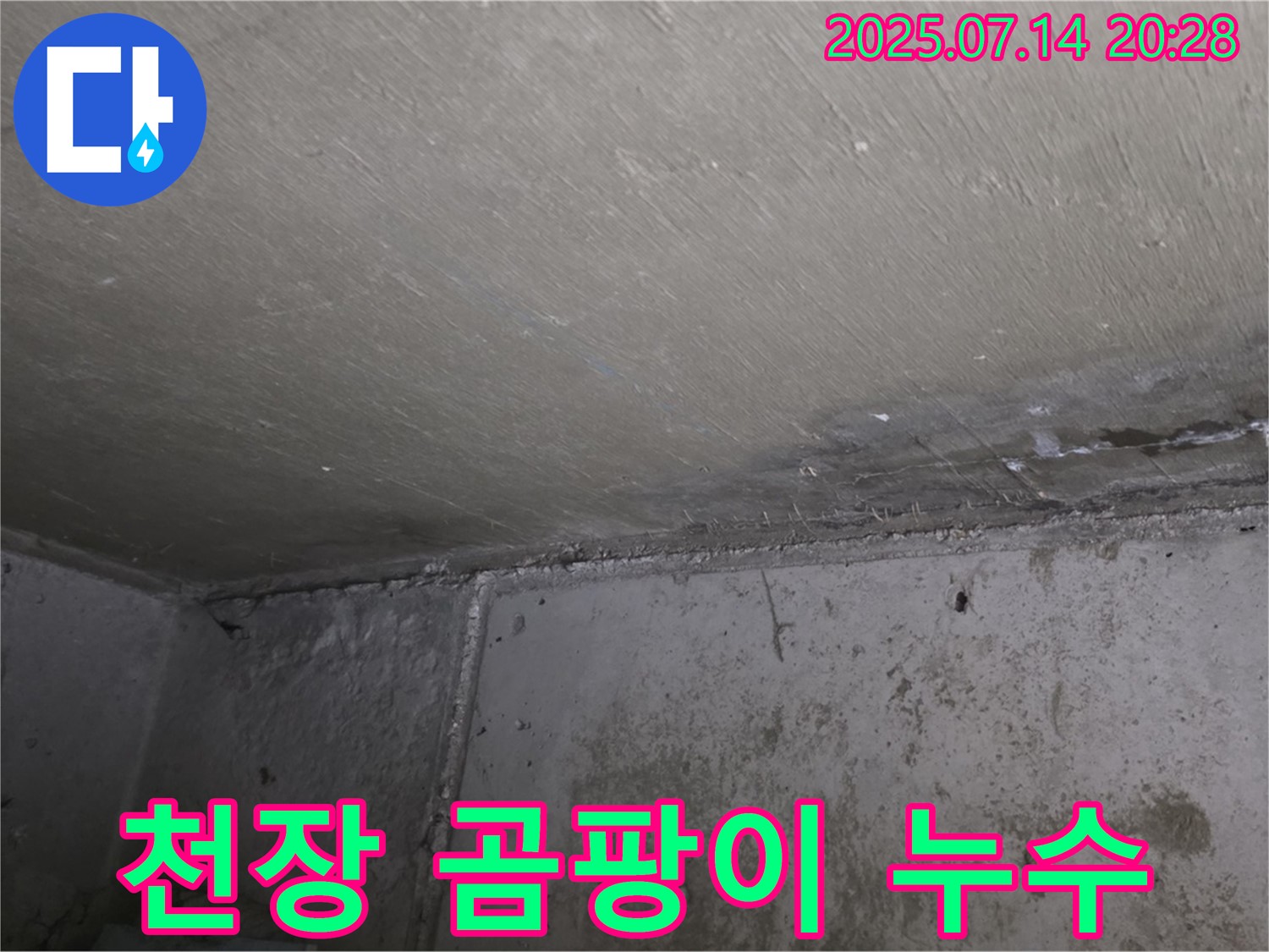 남양주시 오남읍 두산아파트 천장 누수로 인한 곰팡이 문제 - 누수탐지 및 완벽 해결 과정