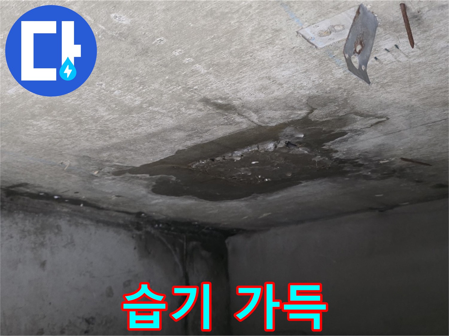 습기 가득한 콘크리트 - 남양주 오남 누수