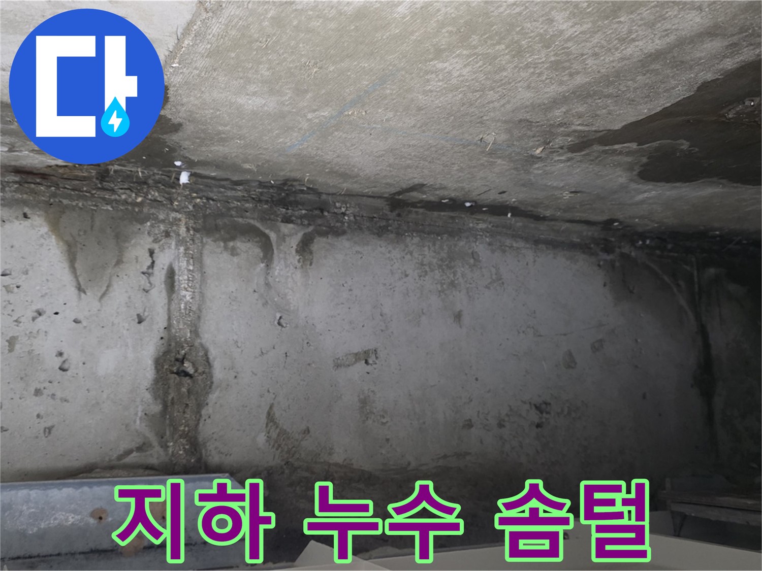 오남 건물 지하 누수 - 솜털 곰팡이