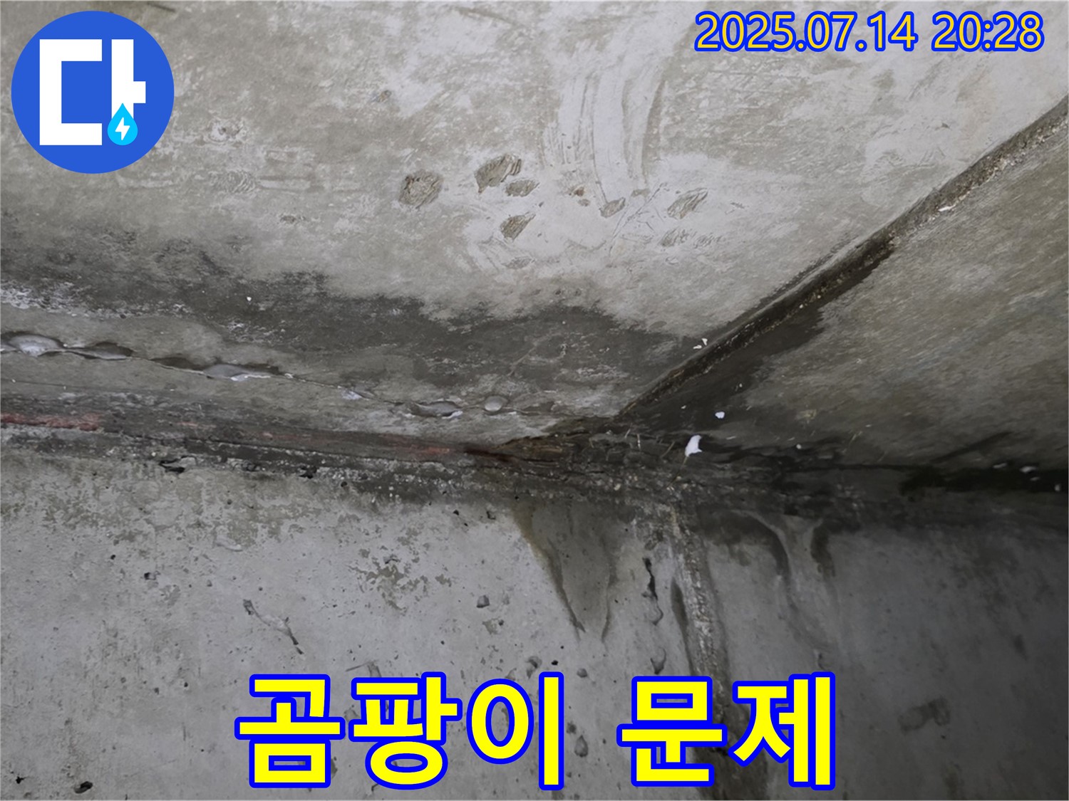 오남 두산아파트 누수 - 누수 후 발생한 곰팡이 문제