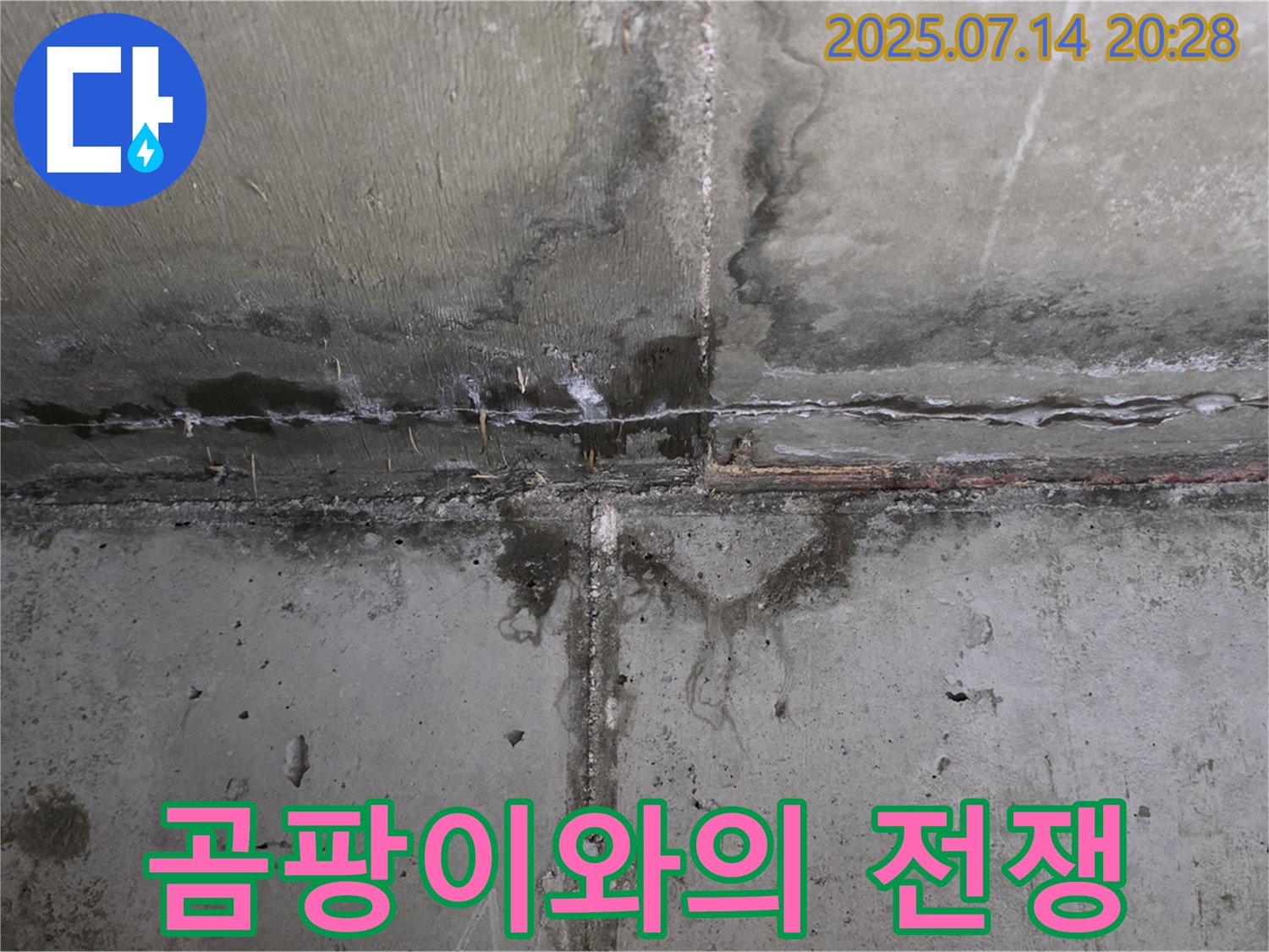 오남읍 두산아파트 누수 - 곰팡이 제거를 위한 철저한 준비