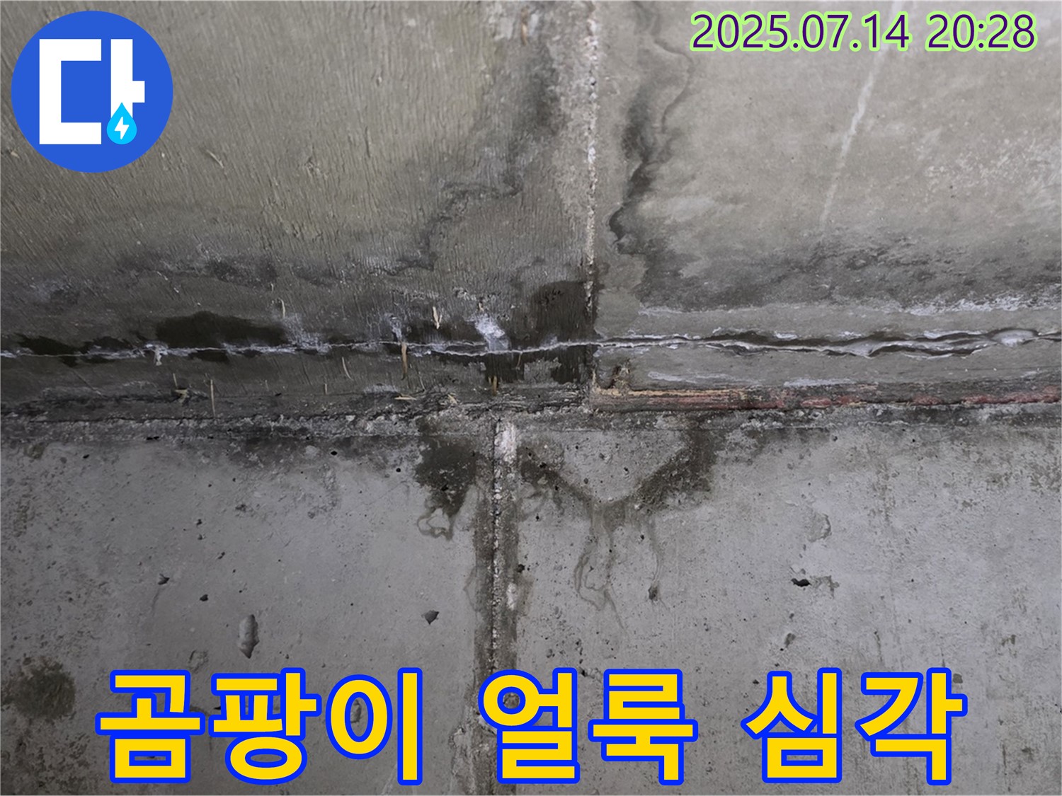오남읍 두산아파트 누수 현장 - 벽에 심각하게 발생한 곰팡이와 얼룩