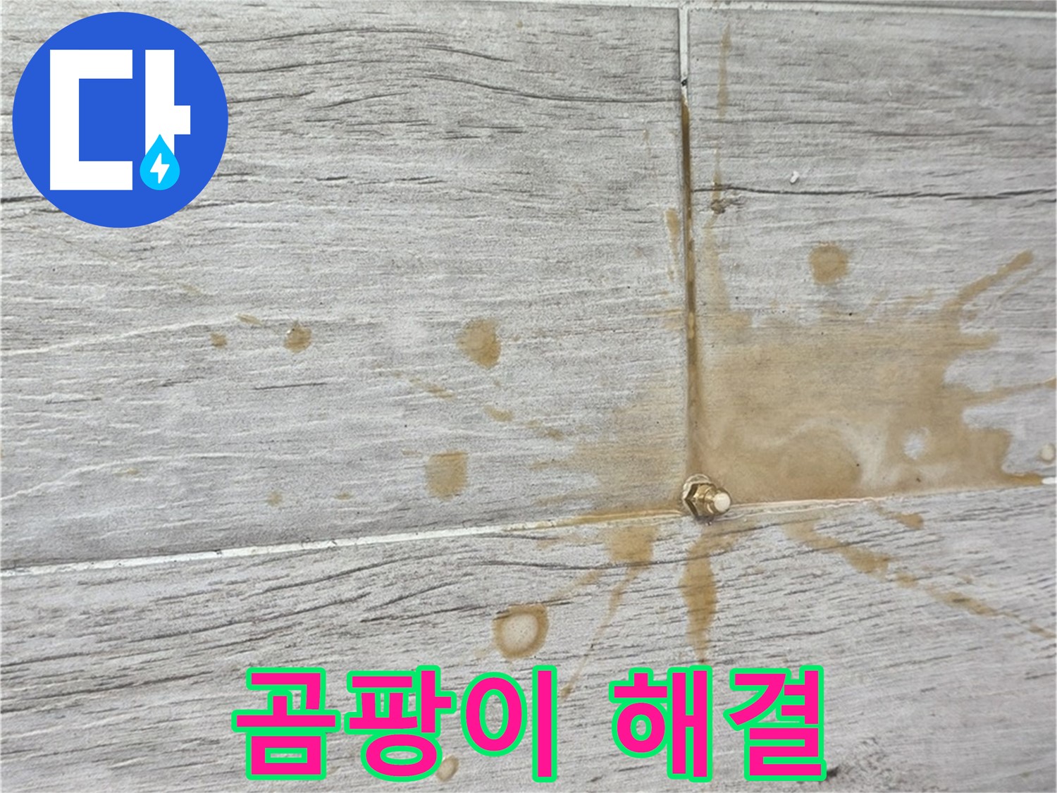 마루 곰팡이 - 인젝션 방수로 곰팡이와 습기 한 번에 해결!