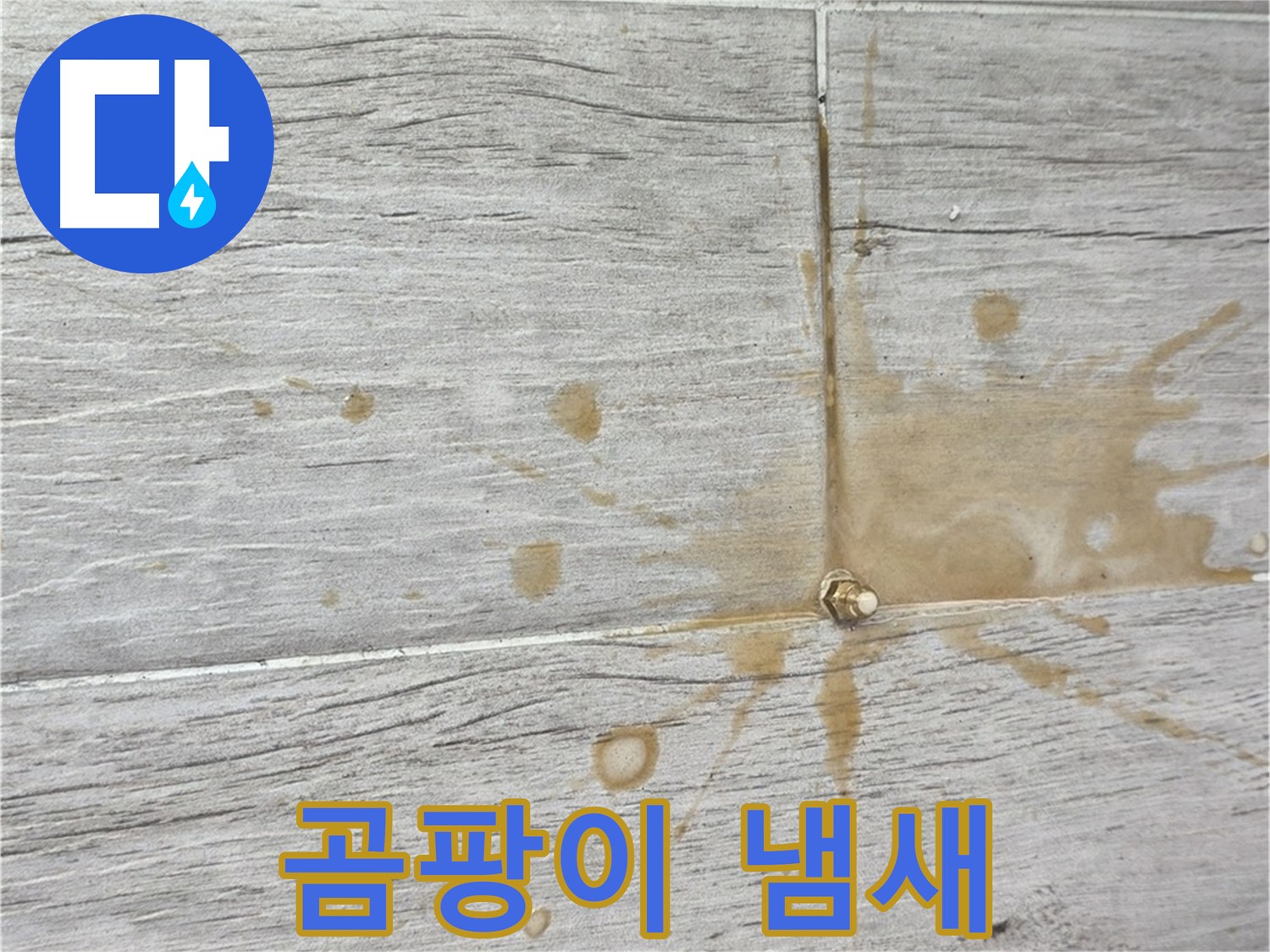마루 틈새 곰팡이 냄새 - 인젝션 방수로 쾌적하게!