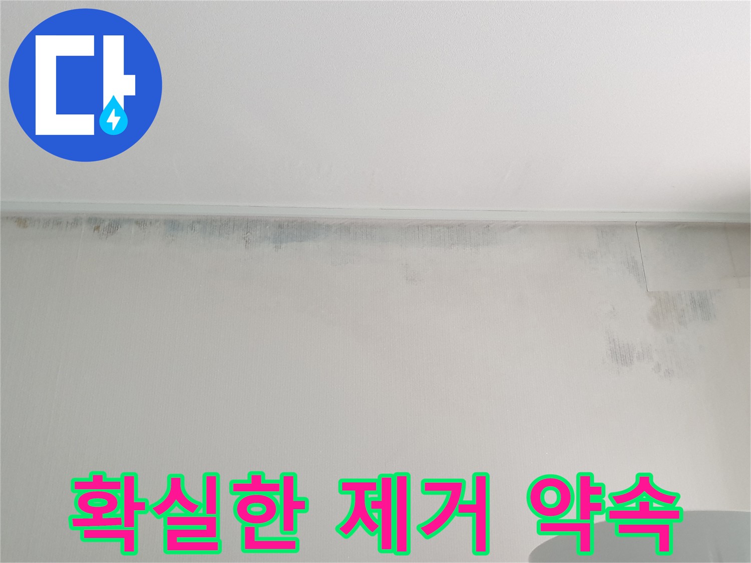 중계동 아파트 곰팡이 - 확실한 제거와 재발 방지 약속