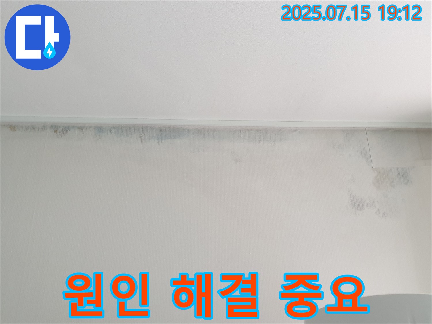 중계동 아파트 천장 누수 - 곰팡이 발생 원인 파악 및 해결의 중요성