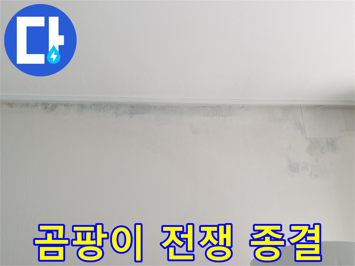 중계동 청구3차 곰팡이 누수 - 곰팡이와의 전쟁 종결
