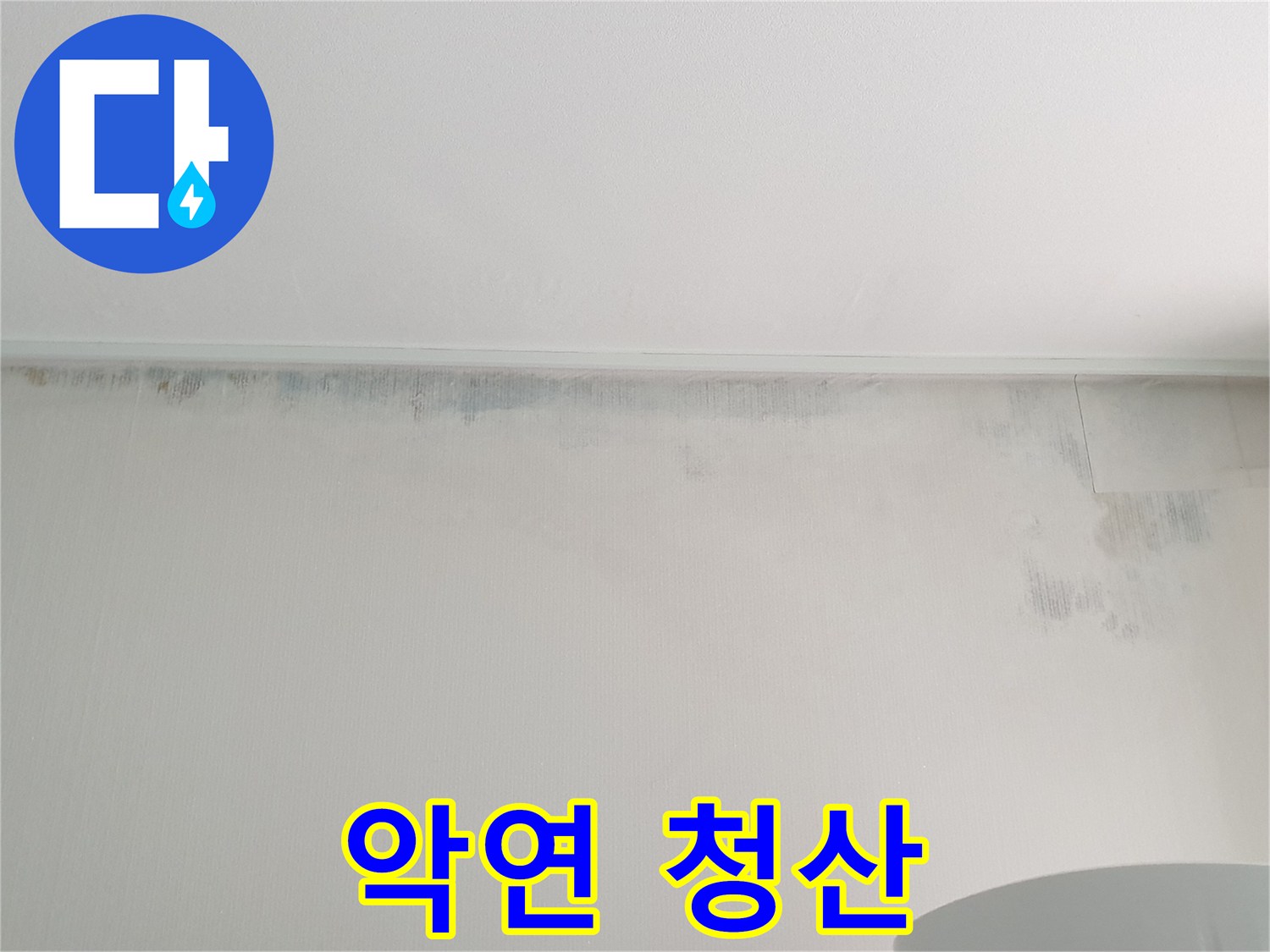 중계동 청구3차 곰팡이 - 악연 청산