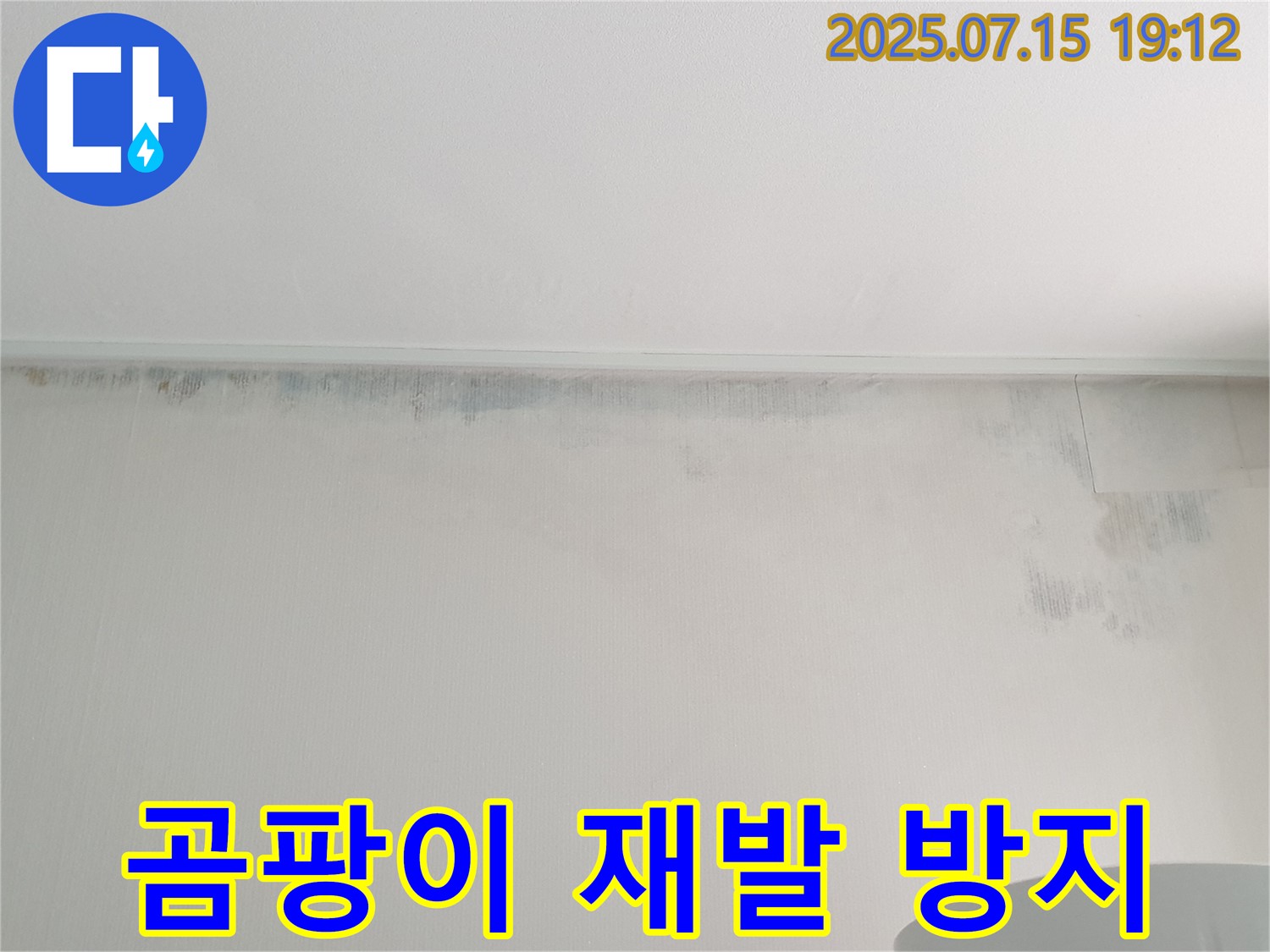 중계동 청구3차 아파트 누수 - 곰팡이 제거 및 재발 방지 솔루션 제공