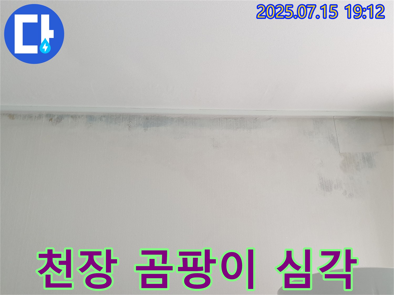중계동 청구3차 아파트 천장 누수로 인한 심각한 곰팡이 발생 - 누수 해결의 시급성을 보여주는 사진