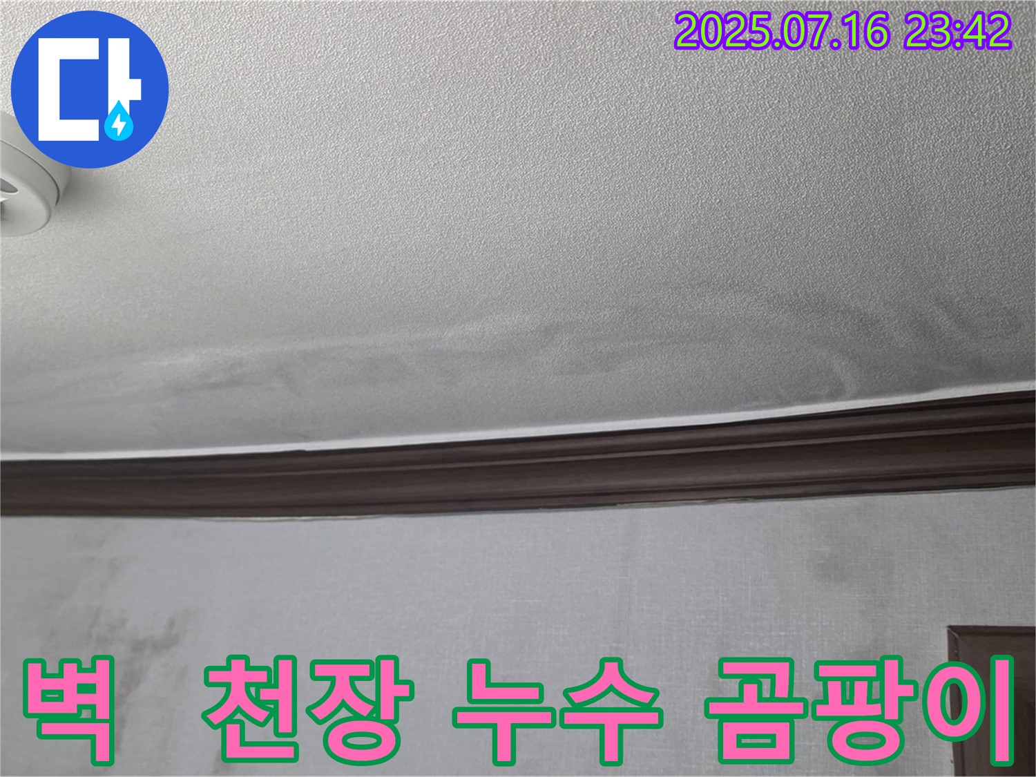 강북구 미아동 누수 현장 사진 - 벽과 천장에 곰팡이가 발생한 모습입니다.