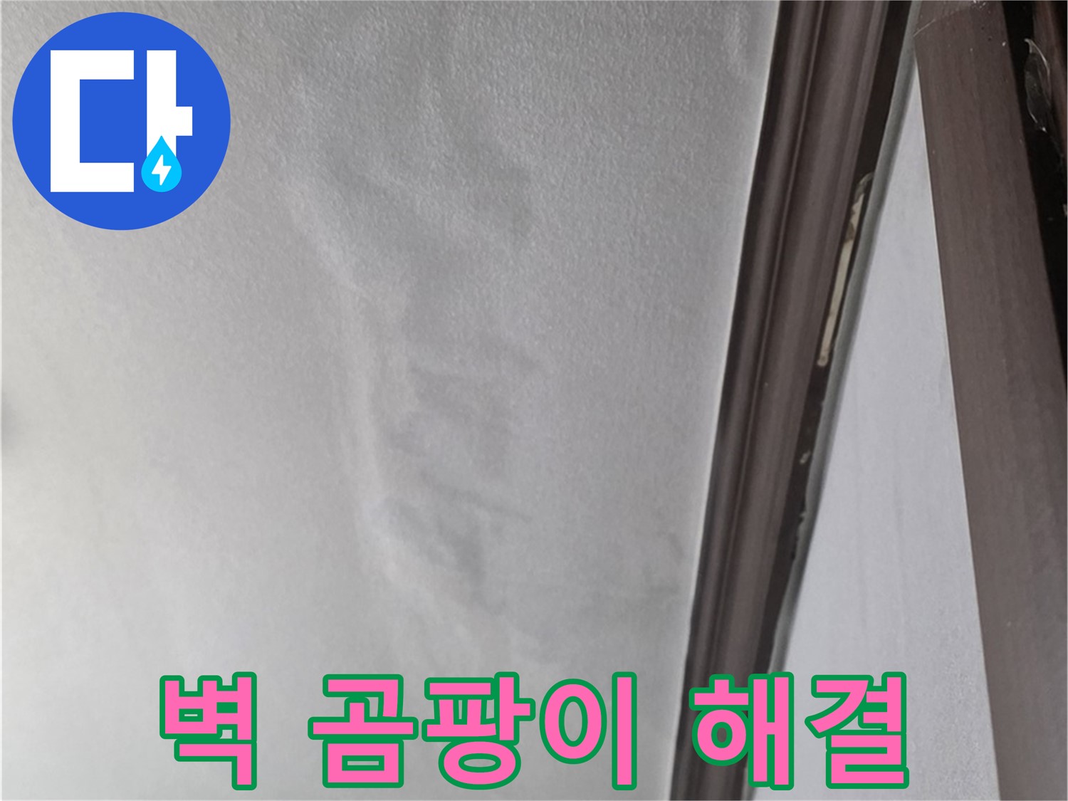 강북구 벽 누수 - 곰팡이와 건강
