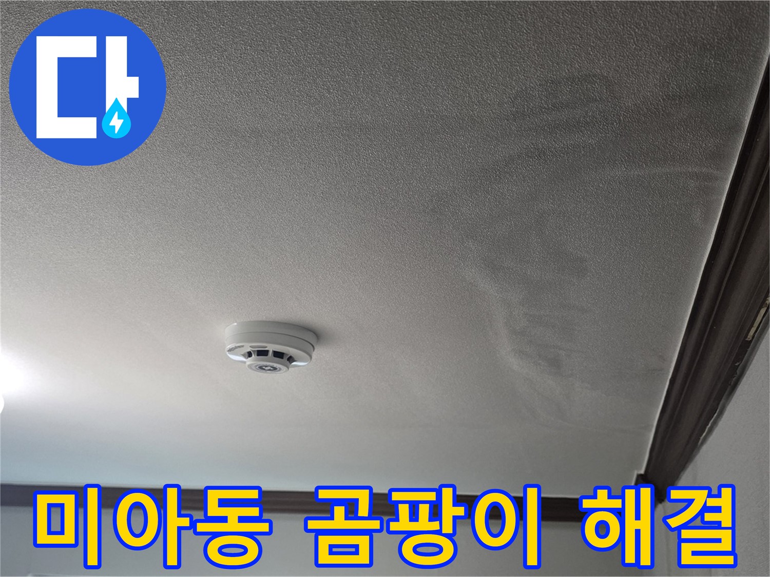 미아동 누수 - 젖은 천장, 곰팡이 걱정은 이제 그만!
