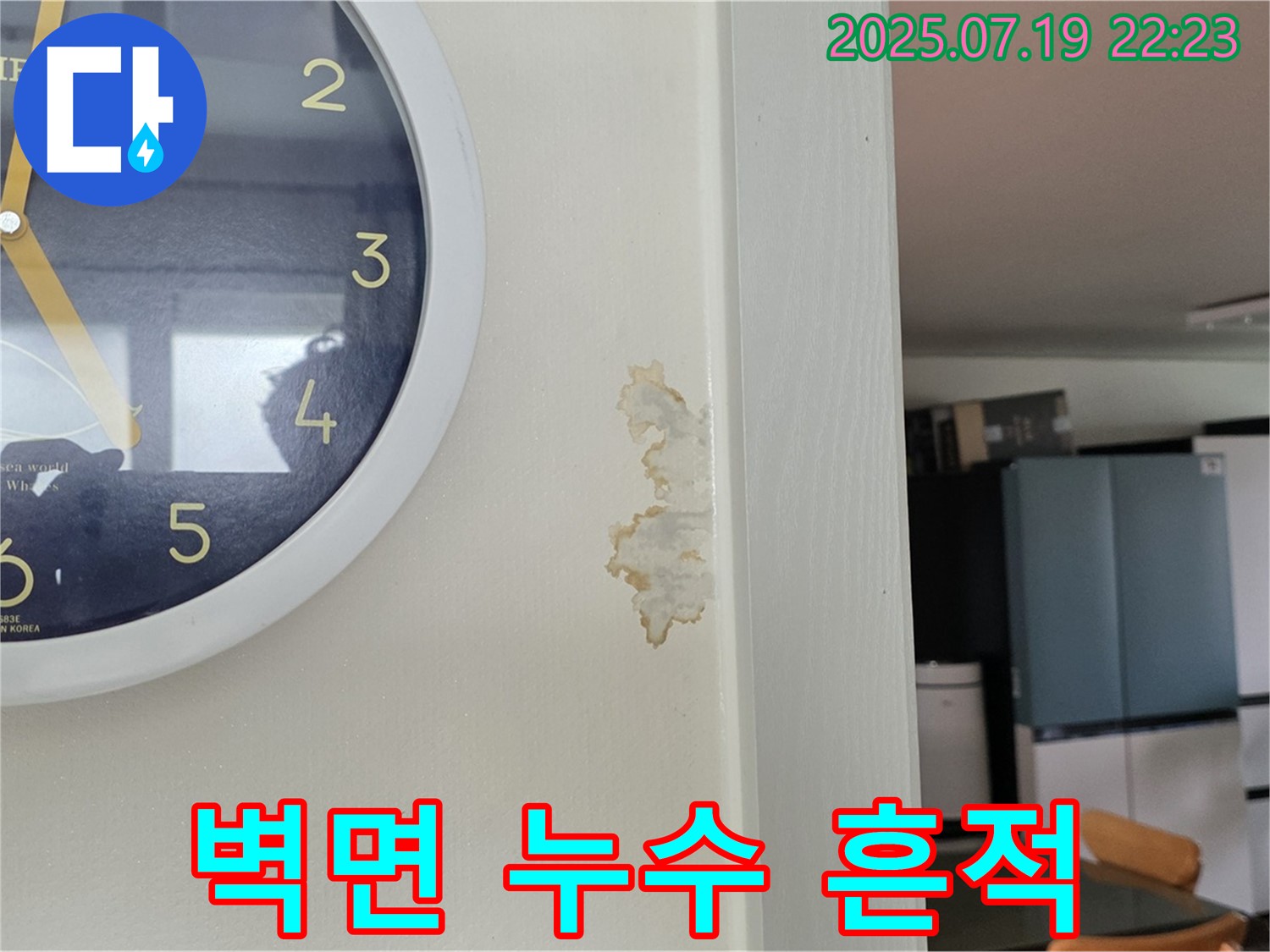 남양주시 진건읍에서 발생한 벽면 누수 현장 - 누수 흔적을 꼼꼼히 확인하고 있습니다.