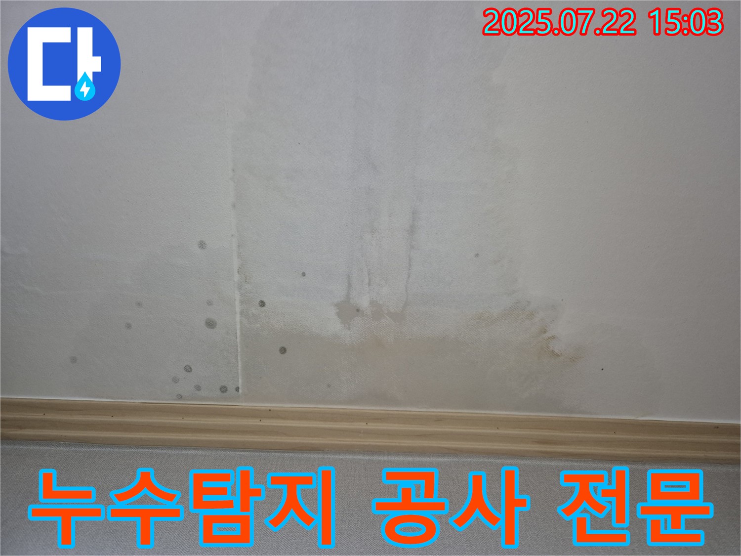 고양시 일산서구 가좌2동 누수탐지 및 공사 전문 업체