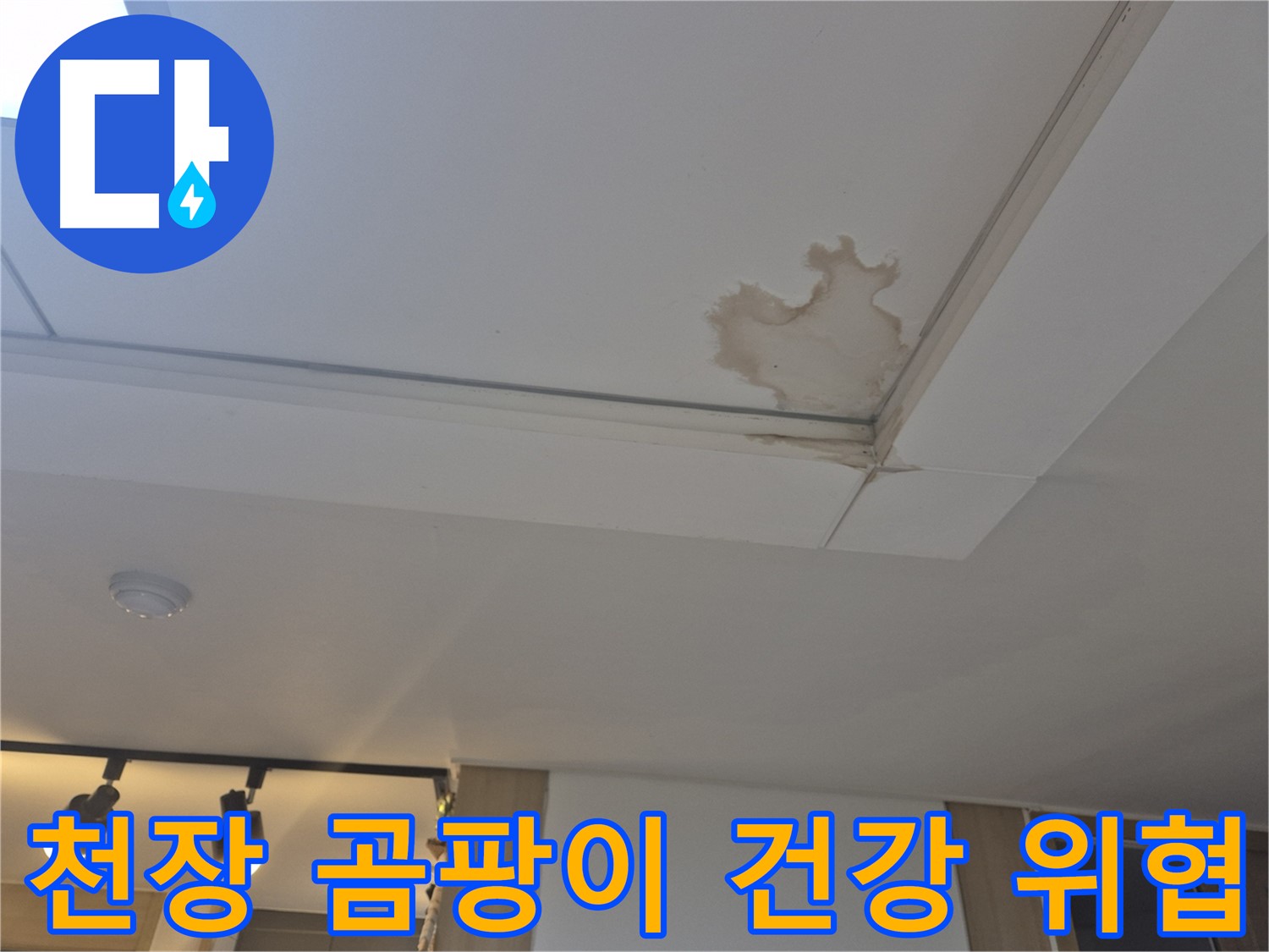 고양시 일산서구 천장 누수 - 곰팡이 발생 - 건강을 위협하는 누수