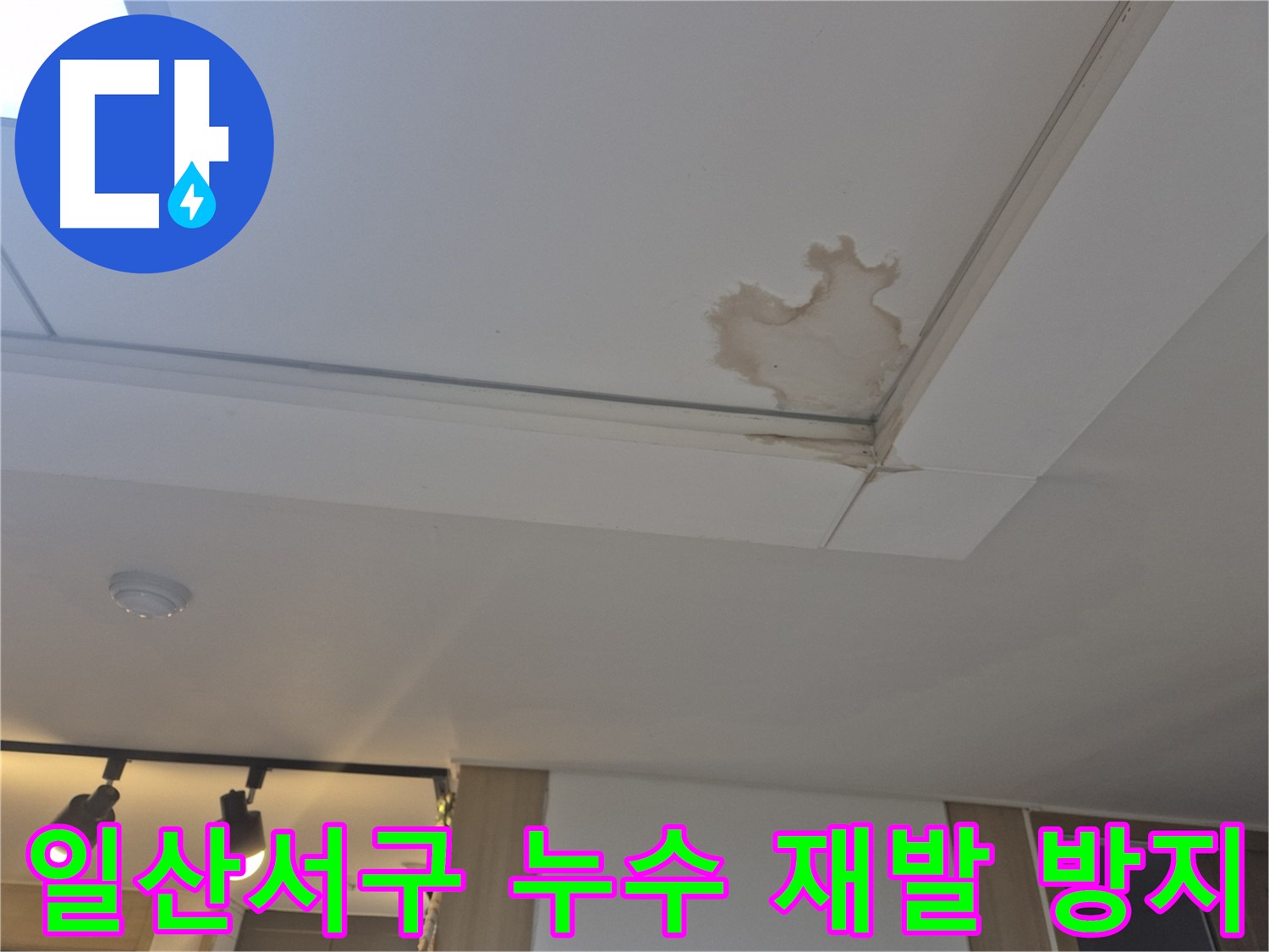 고양시 일산서구 천장 누수 - 꼼꼼한 진단으로 재발 가능성을 최소화합니다