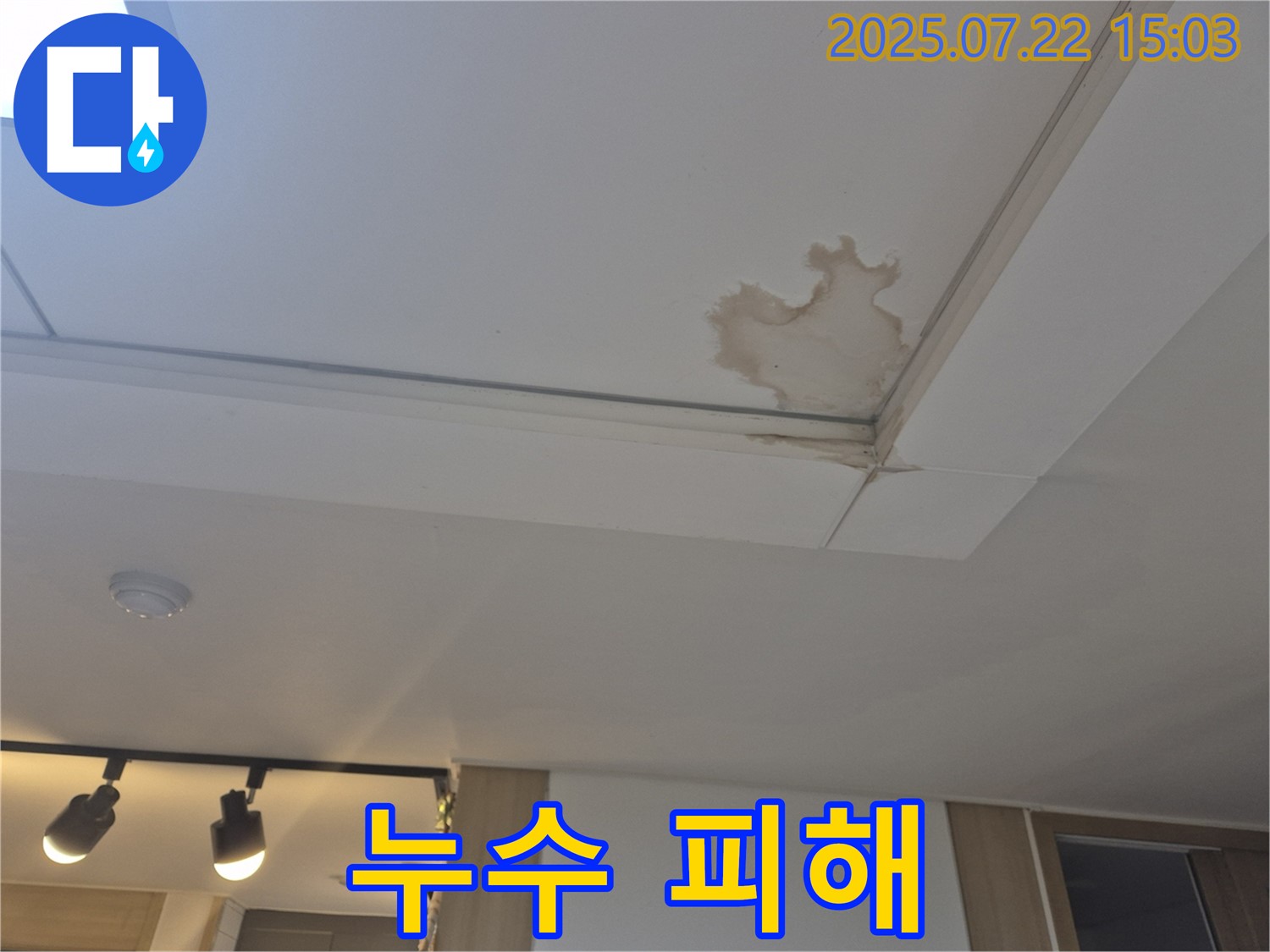 일산 가좌동 누수 - 천장 누수, 무료 견적 제공