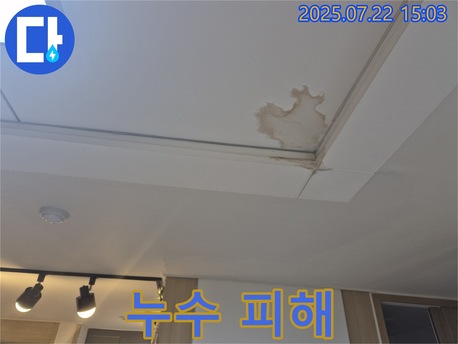 일산 가좌동 누수 - 천장 누수, 완벽한 시공으로 해결