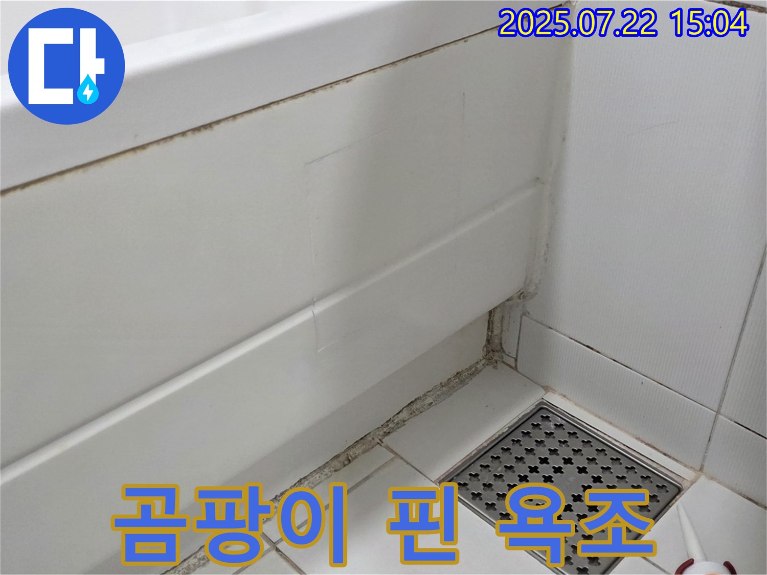 일산 가좌동 욕조 곰팡이 - 곰팡이 제거와 누수 해결로 깨끗한 욕실 만들기