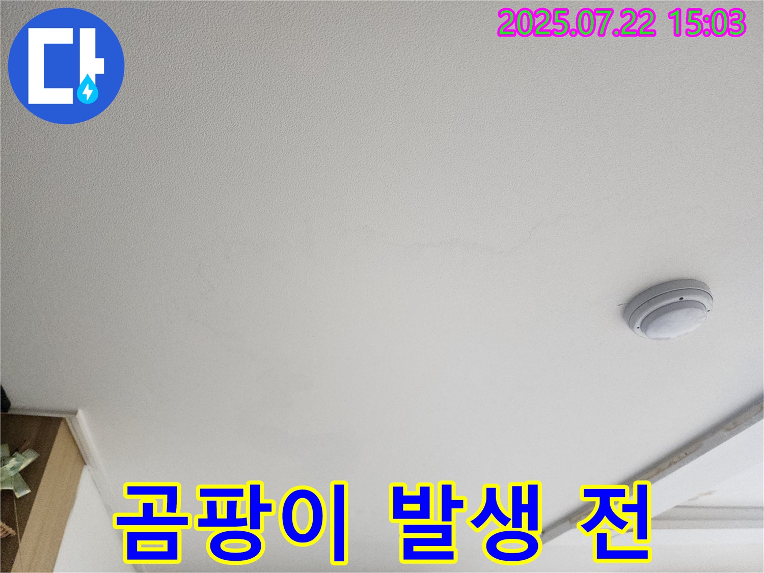 일산 가좌동 천장 누수 - 곰팡이 발생 전 누수 조치 중요