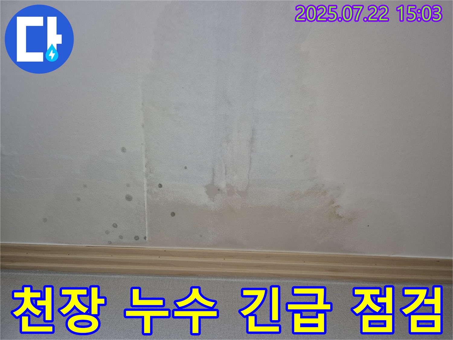 일산서구 가좌동 천장 누수 긴급 점검 - 누수탐지 전문