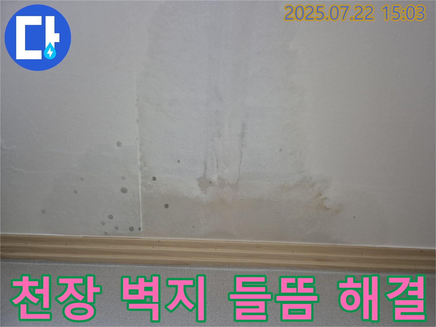 천장 벽지 들뜸 현상 해결 - 일산 가좌동 누수 전문