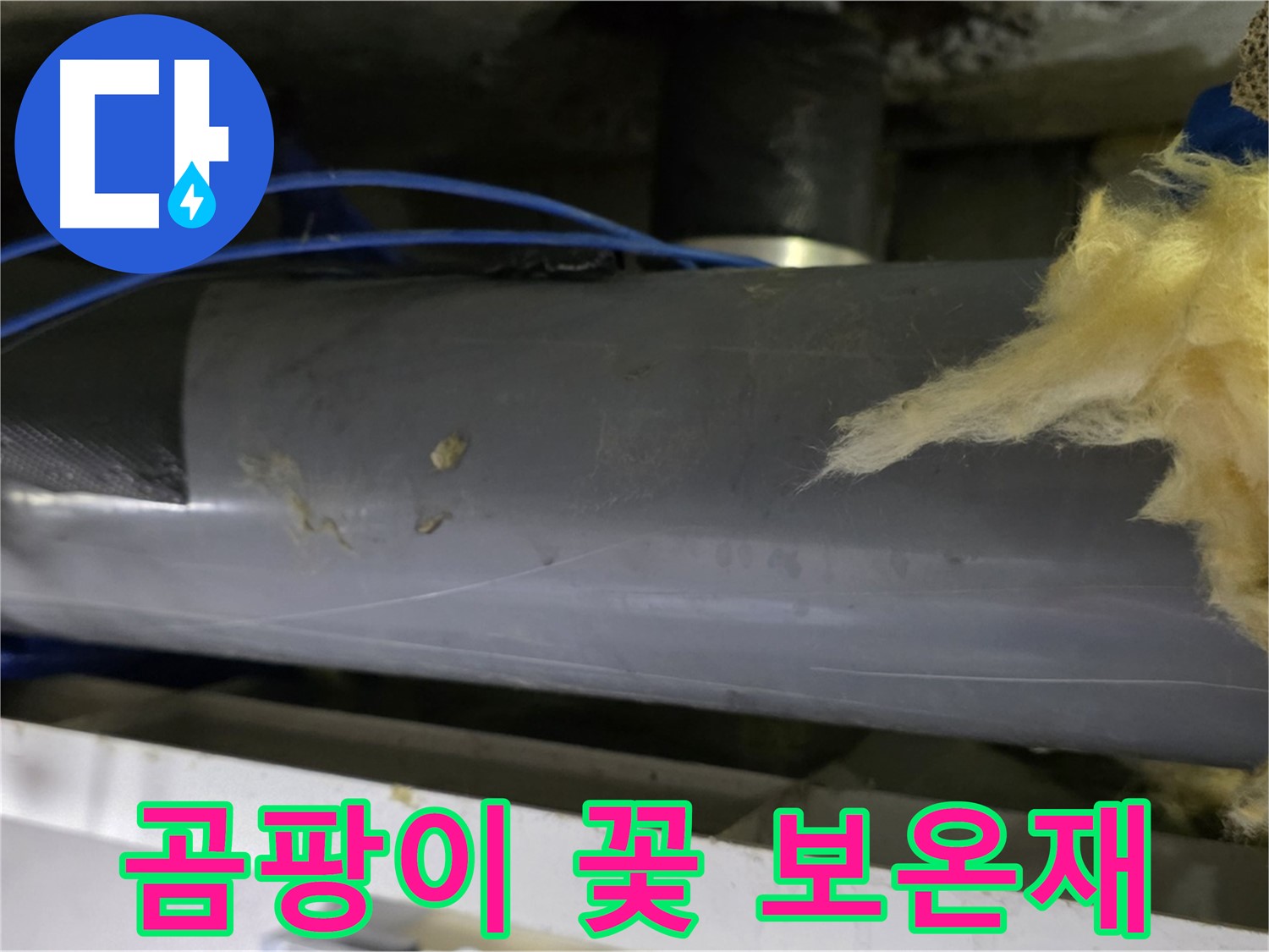 곰팡이 꽃 핀 보온재 - 건강 위협
