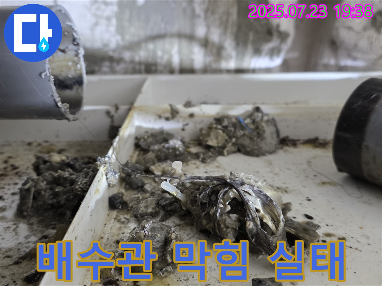 중계동 라이프청구신동아 아파트 - 배수관 막힘 실태, 기름 덩어리와 찌꺼기