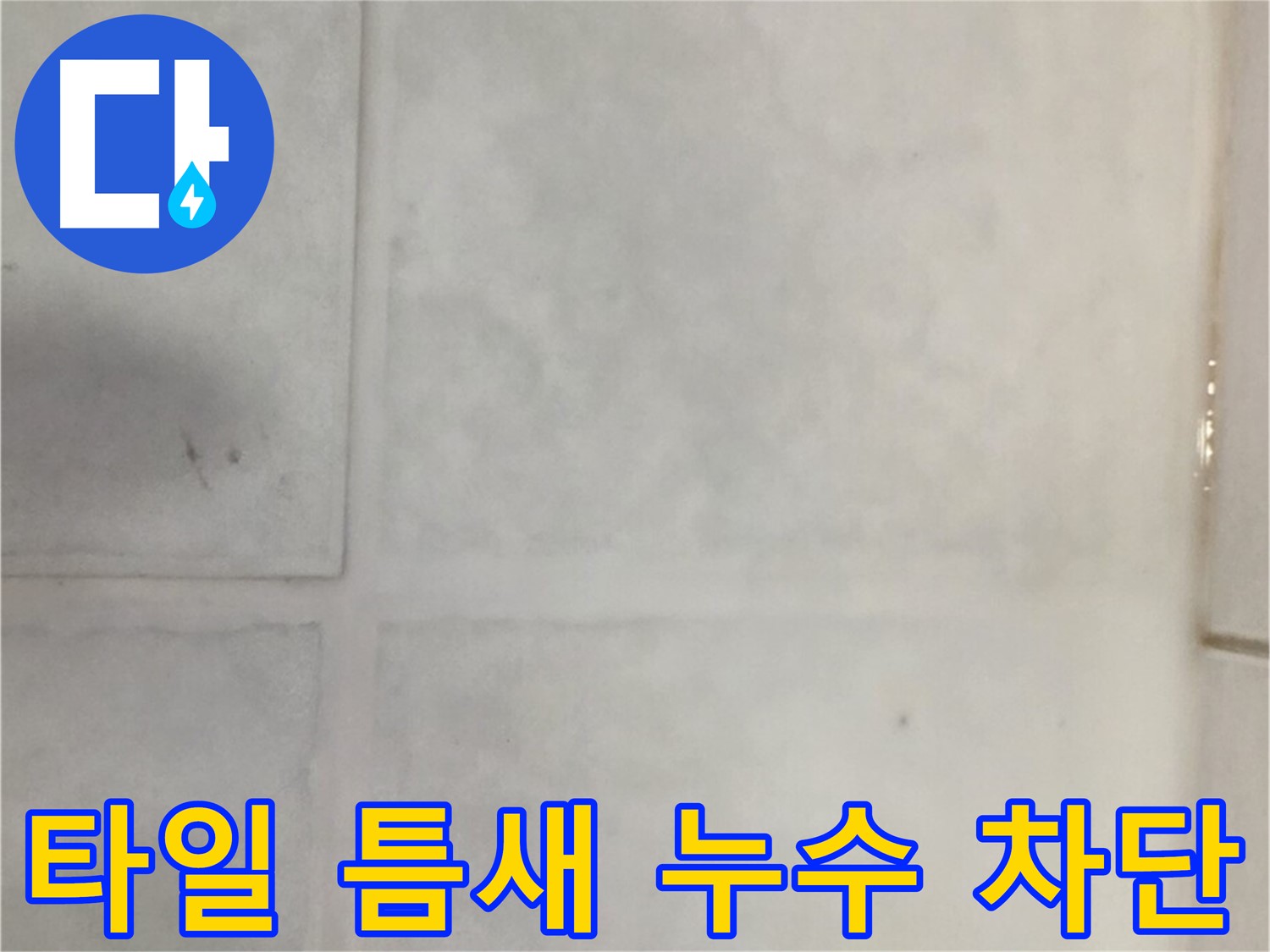 과천 누수 - 타일 틈새 누수 완벽 차단, 고객 만족!