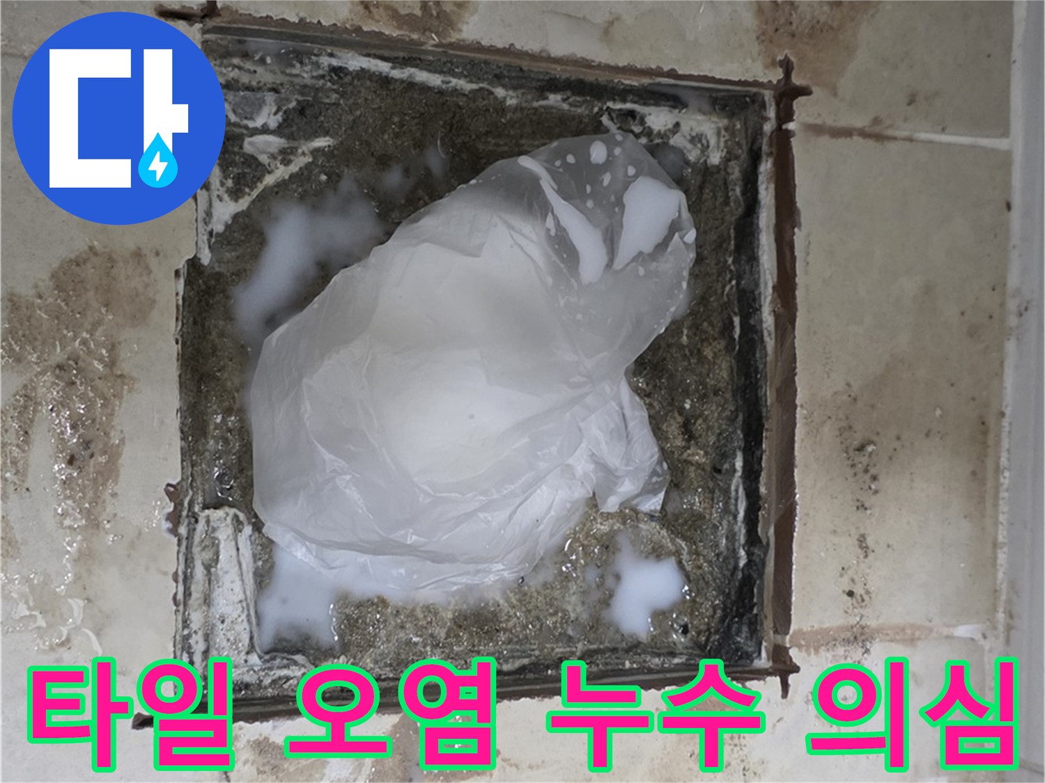 고양시 덕양구 동산동 욕실 배수구 주변 타일 오염 - 누수 의심