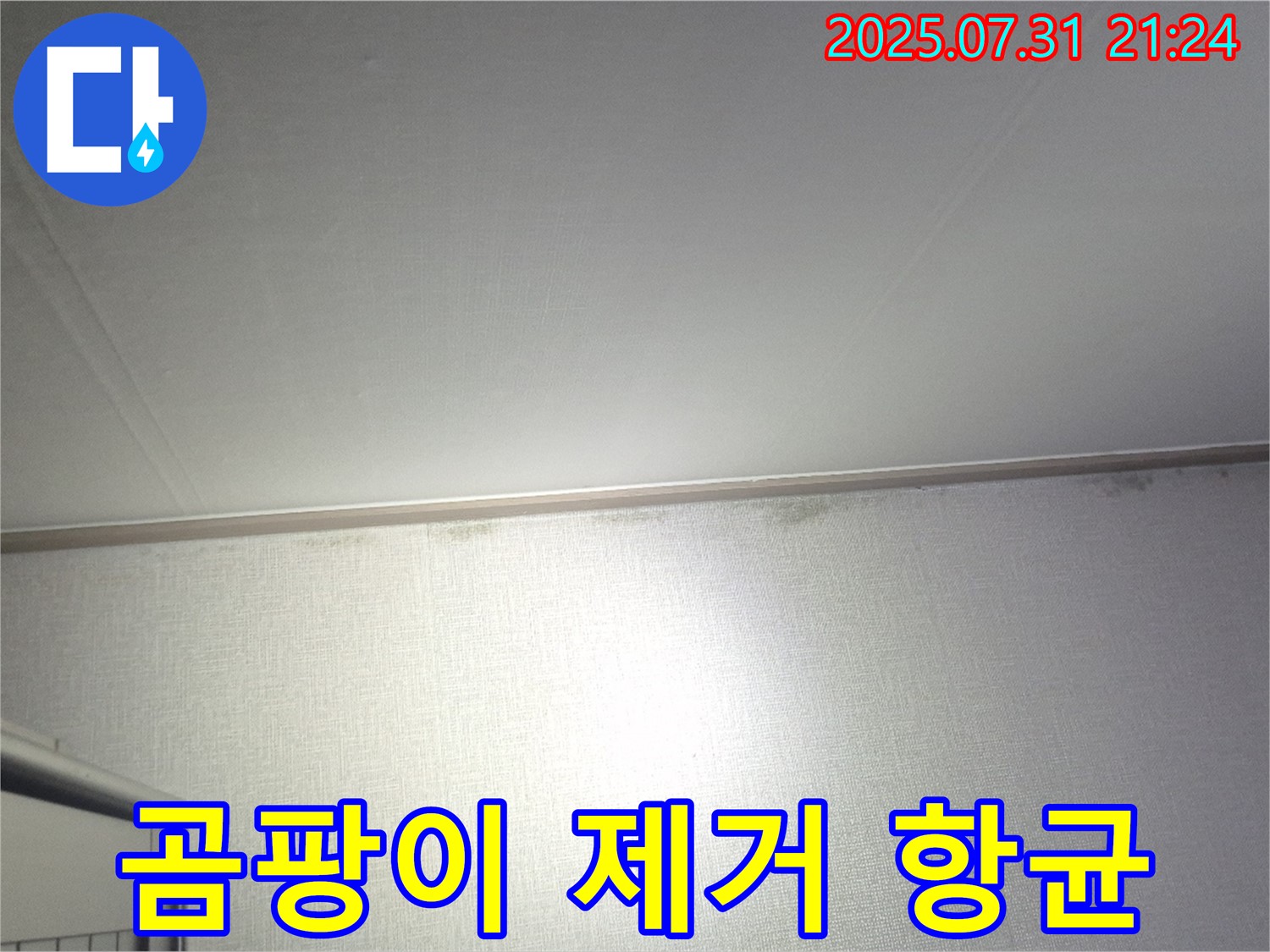 고양시 덕양구 벽 누수 - 곰팡이 제거 후 항균 시공으로 깨끗하게!