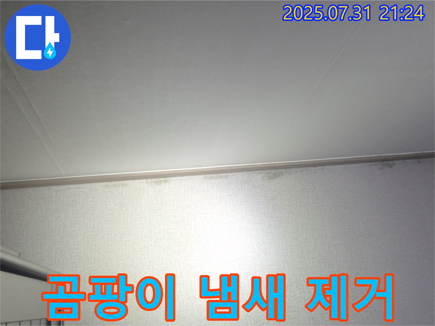 덕양구 동산동 천장 곰팡이 - 곰팡이 냄새까지 완벽 제거