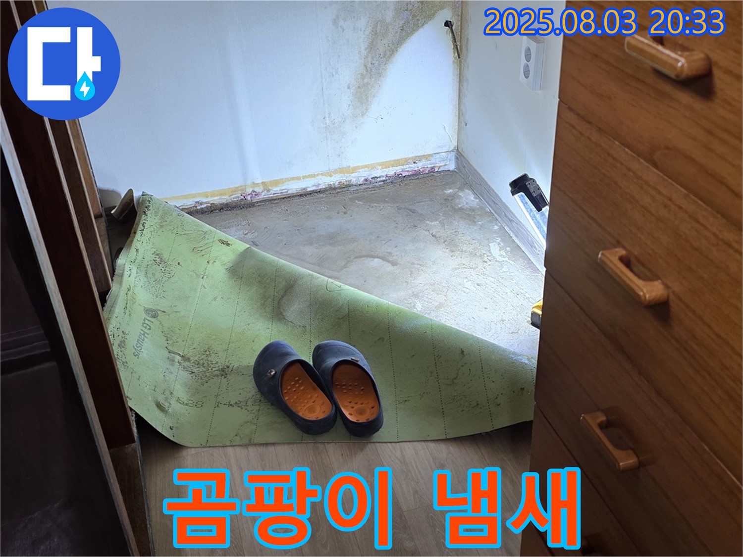 곰팡이 냄새 - 누수 의심 신호