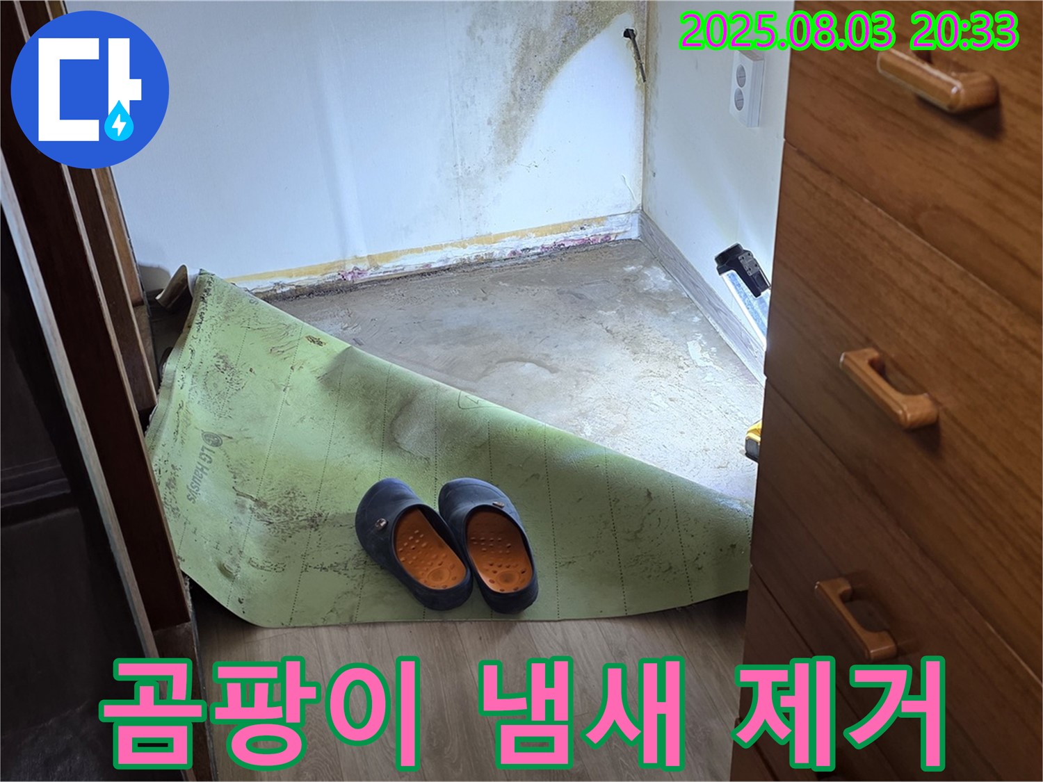 곰팡이 냄새 제거 - 상쾌한 환경