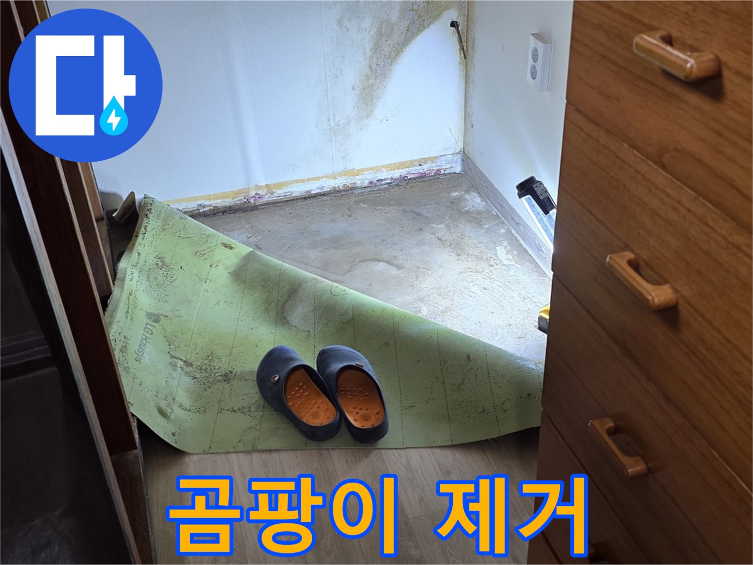 곰팡이 제거 작업 - 건강한 환경을 되찾다