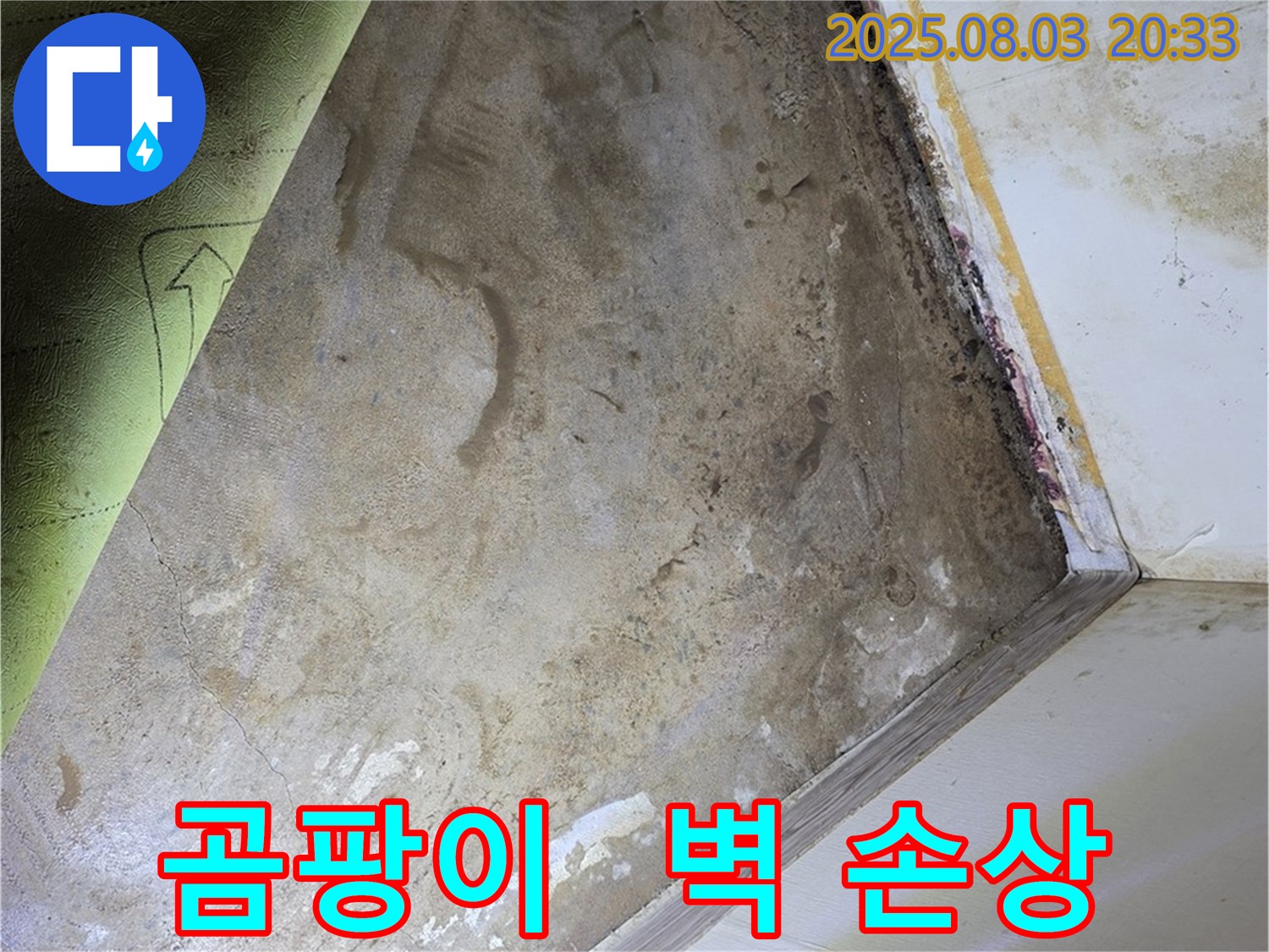 곰팡이로 인한 벽 손상 - 누수 진행 중