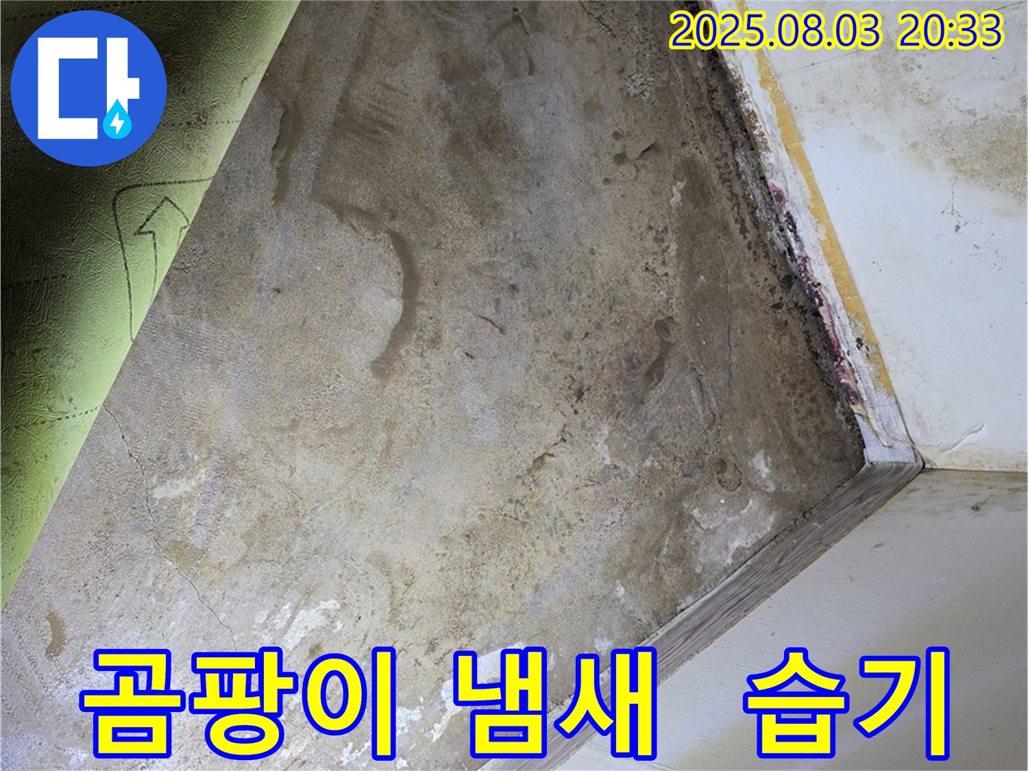 자하문로19길 주택 - 곰팡이 냄새 - 습기 문제