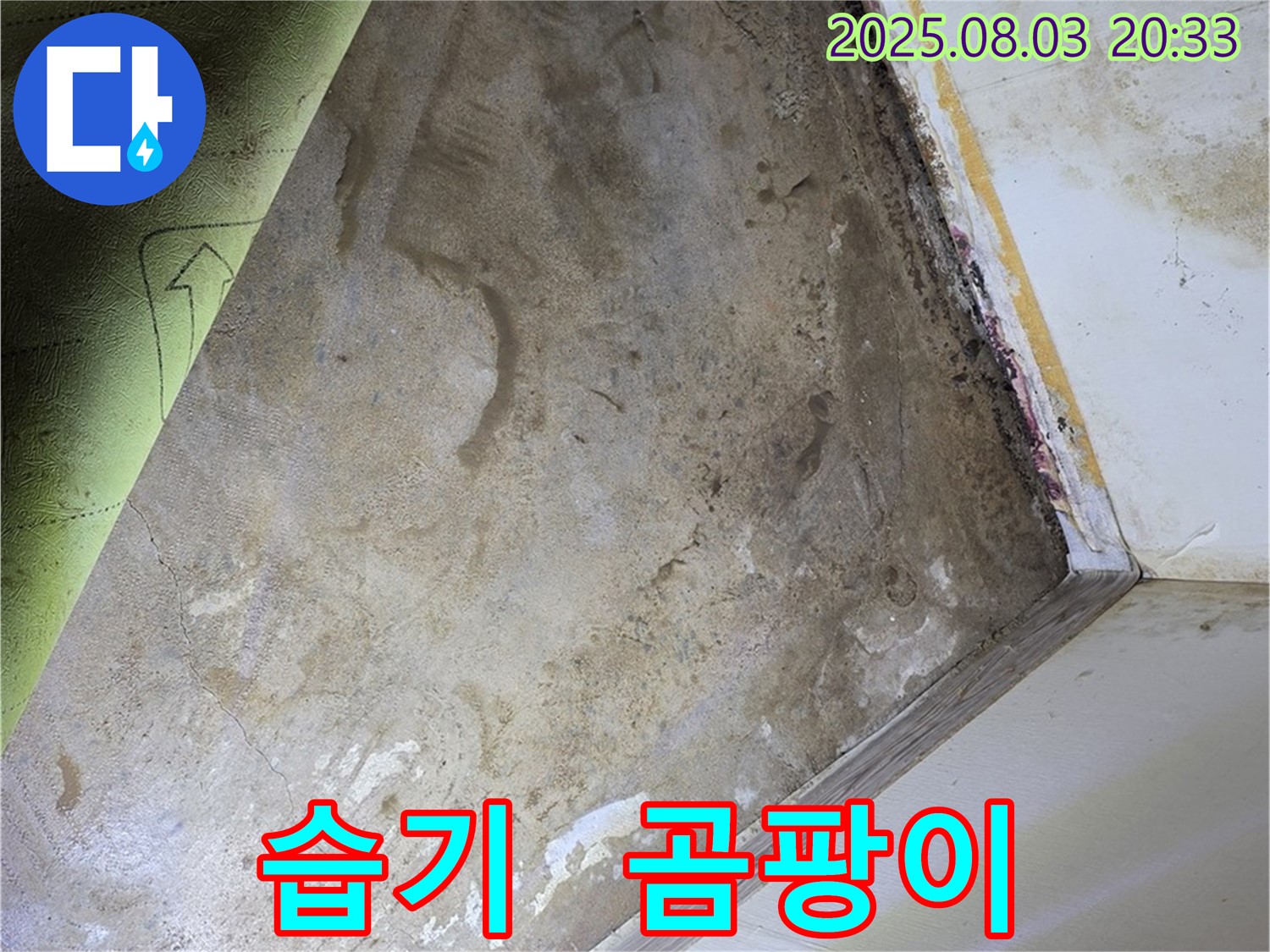 자하문로19길 주택 - 습기 - 곰팡이 문제 - 완벽 시공