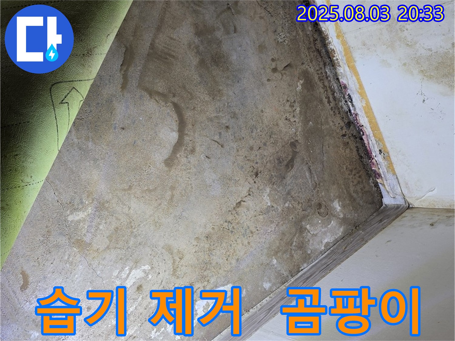 자하문로19길 주택 - 습기 제거 - 곰팡이 제거 전문