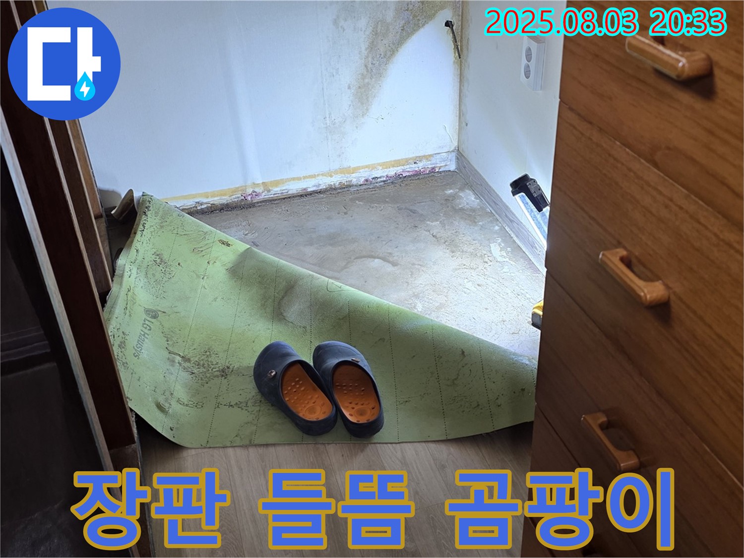 장판 들뜸 - 곰팡이 확인