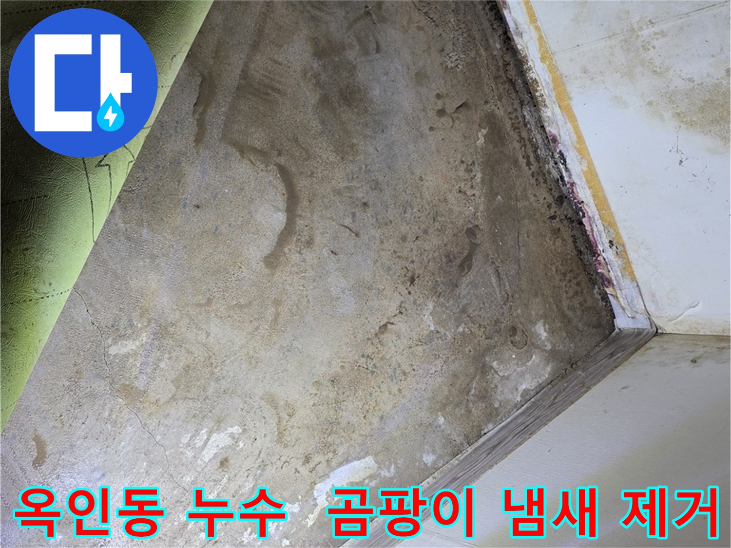 장판 밑 곰팡이 냄새 - 옥인동 냄새 제거 및 습기 관리