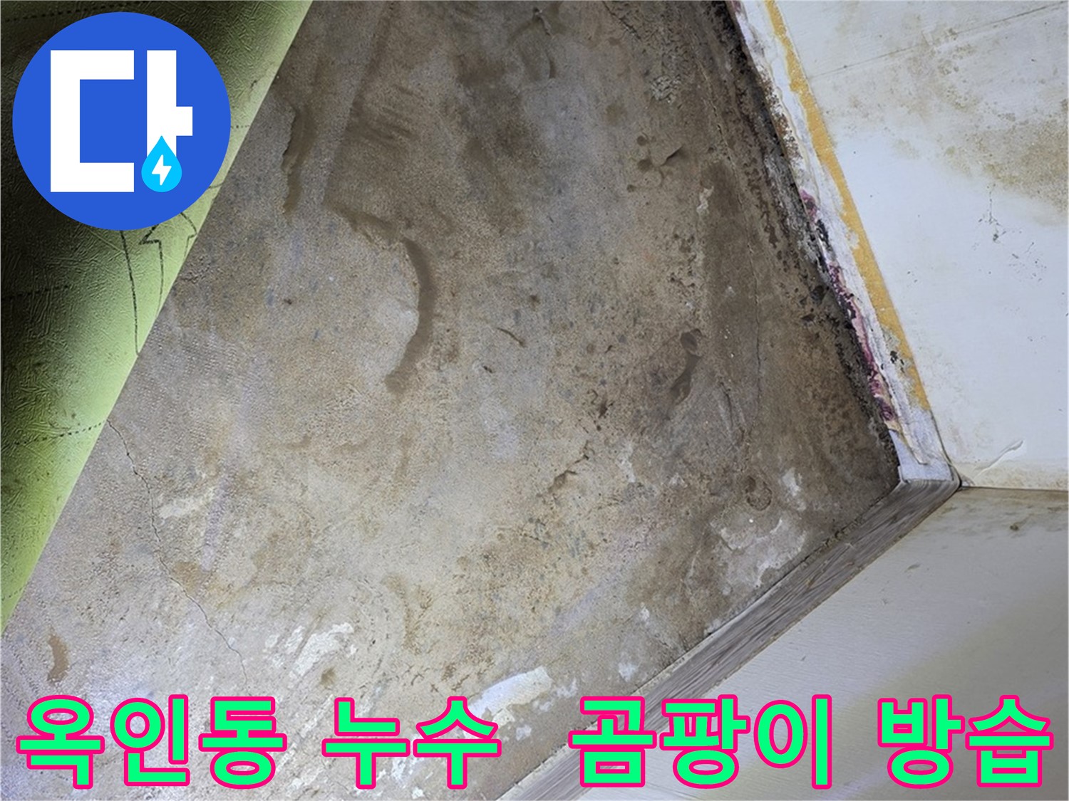 장판 밑 곰팡이 - 옥인동 곰팡이 제거 및 방습 시공